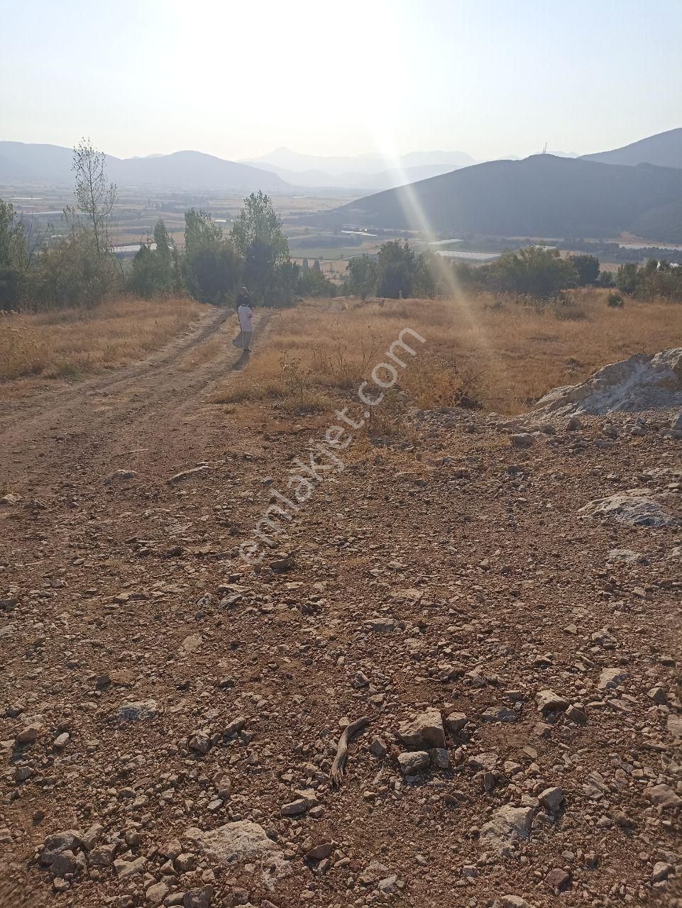 Muğla Seydikemer Seki İmarlı Parsel 595 M2 Satılı - Görsel 2