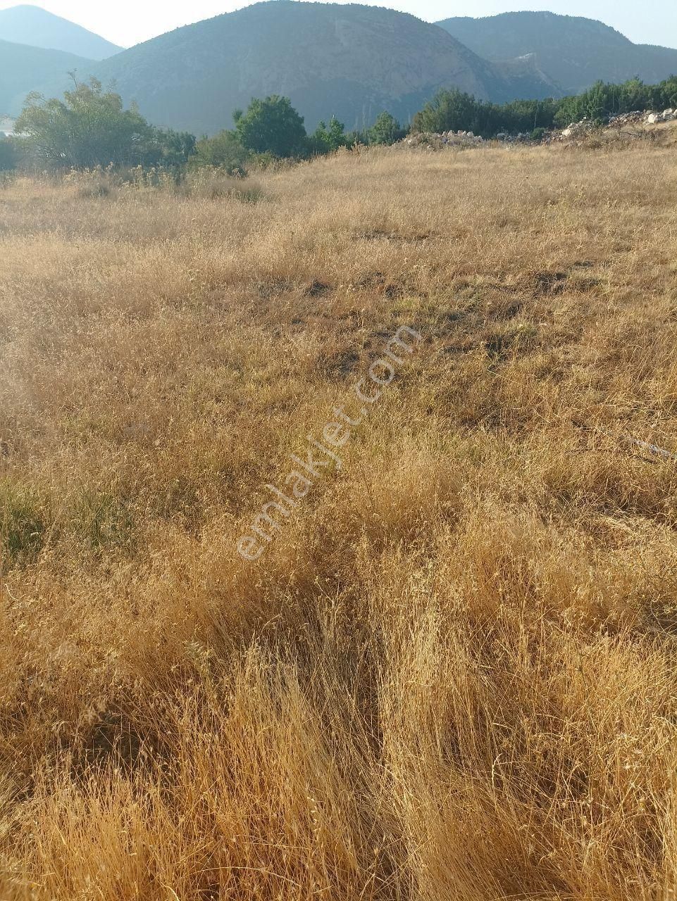 Muğla Seydikemer Seki İmarlı Parsel 595 M2 Satılı
