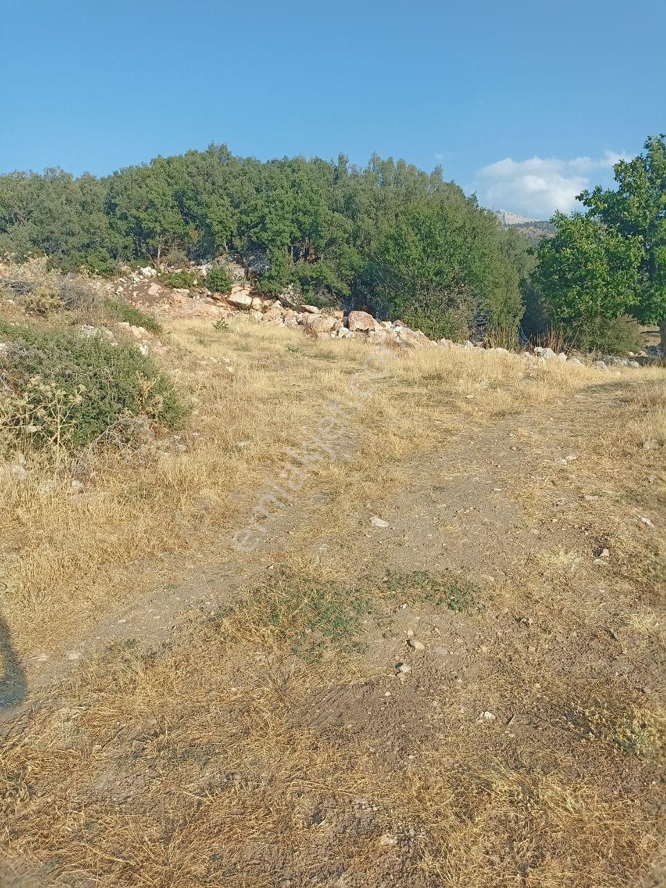 Muğla Seydikemer Seki İmarlı Parsel 595 M2 Satılı - Görsel 3