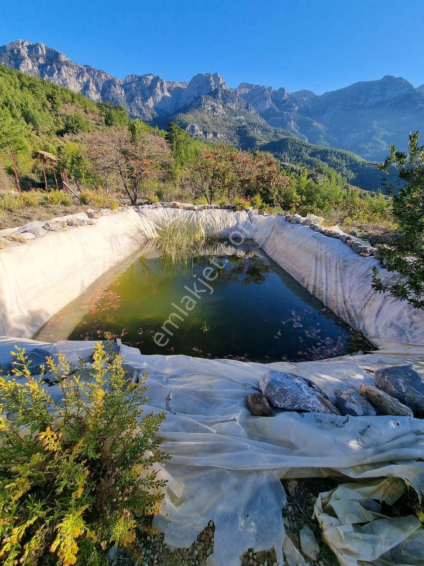 Gazipaşa Yeşilyurt Mahallesinde Satılık Kurulu Düzen Bahçe