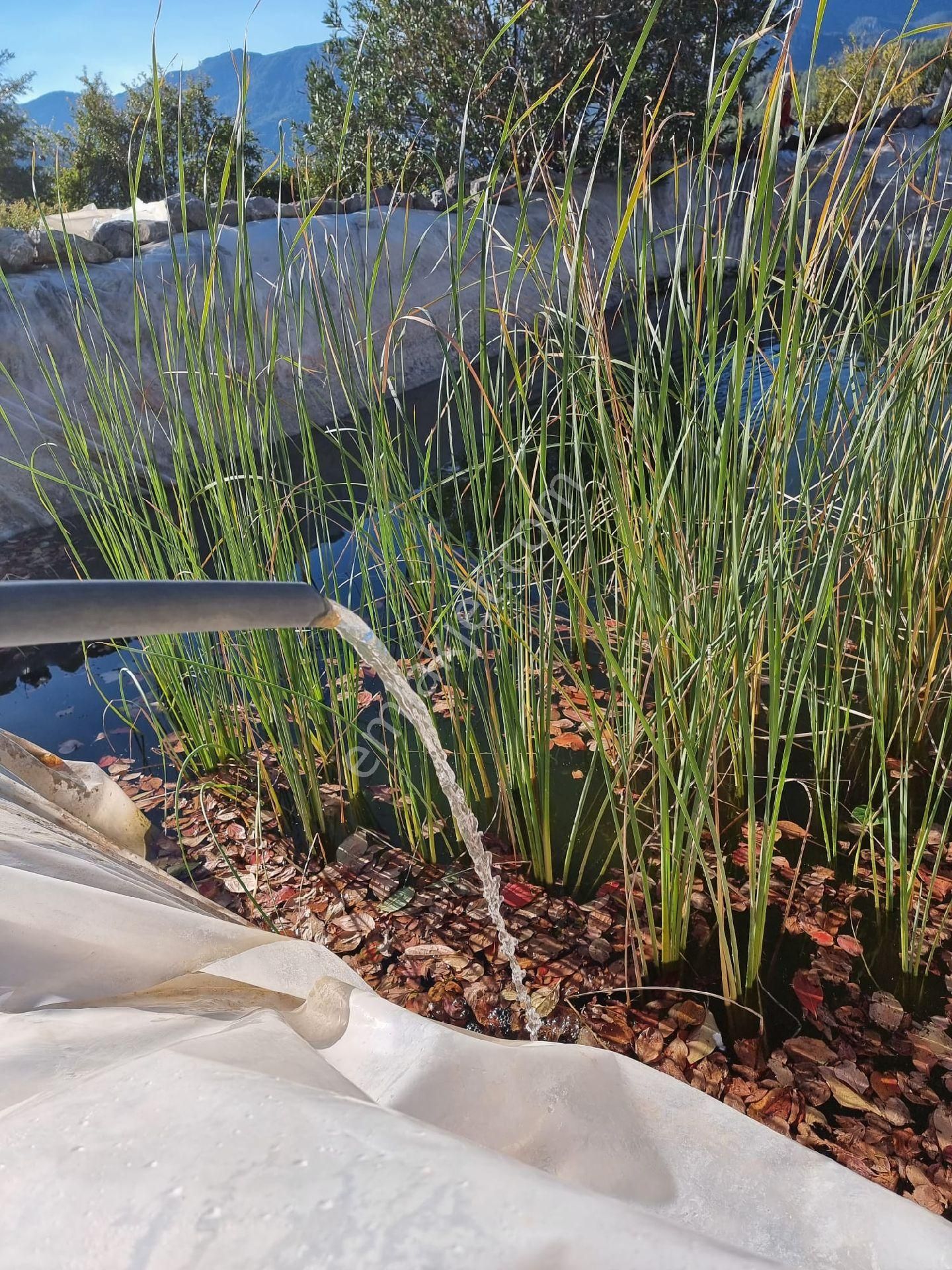 Gazipaşa Yeşilyurt Mahallesinde Satılık Kurulu Düzen Bahçe - Görsel 5