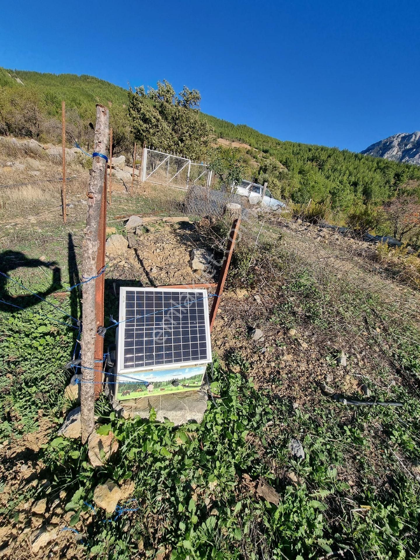 Gazipaşa Yeşilyurt Mahallesinde Satılık Kurulu Düzen Bahçe - Görsel 3