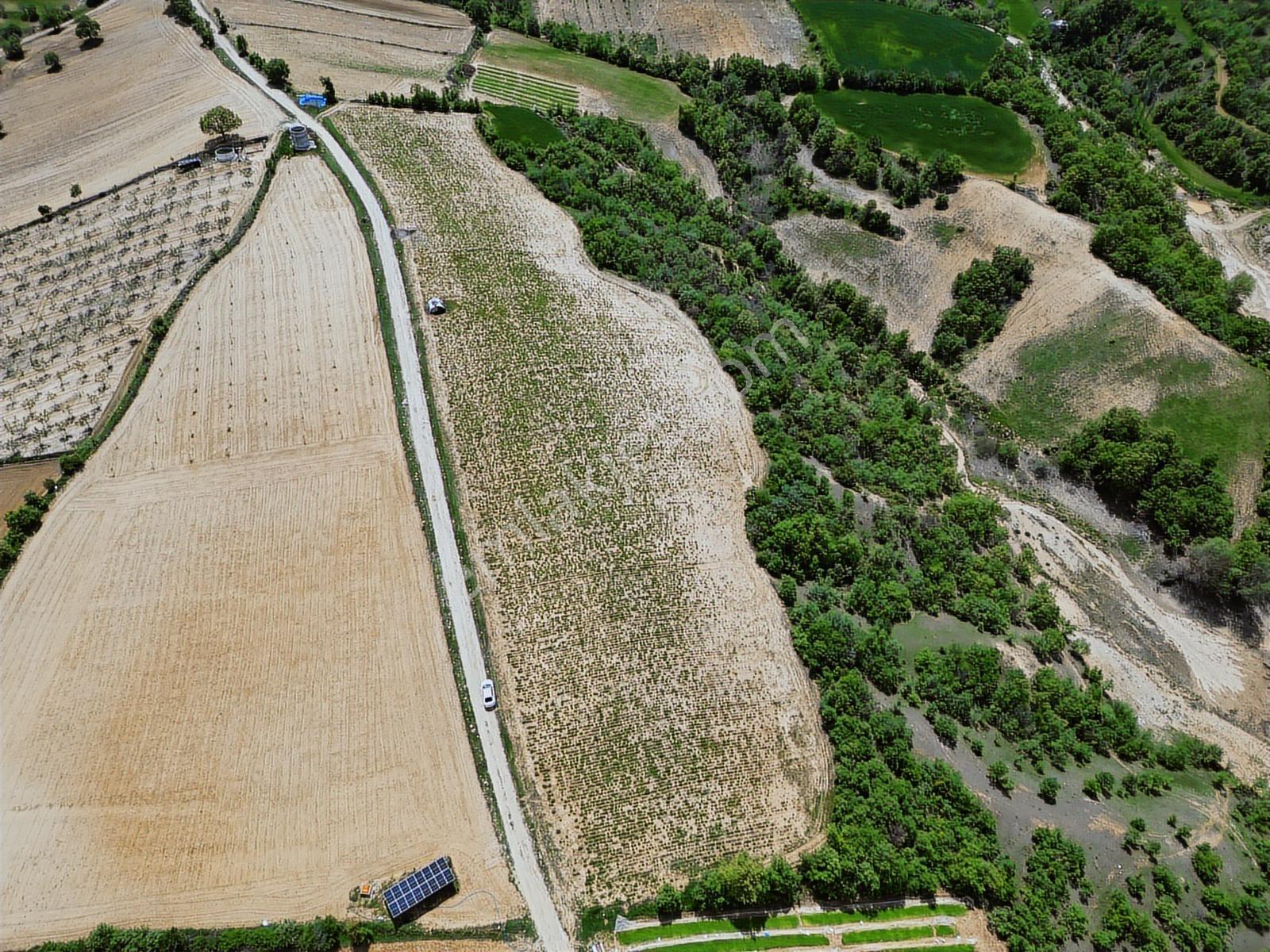 Eşme Karaahmetli'de Satılık Proje Arazisi 12.400 M2 - Görsel 21