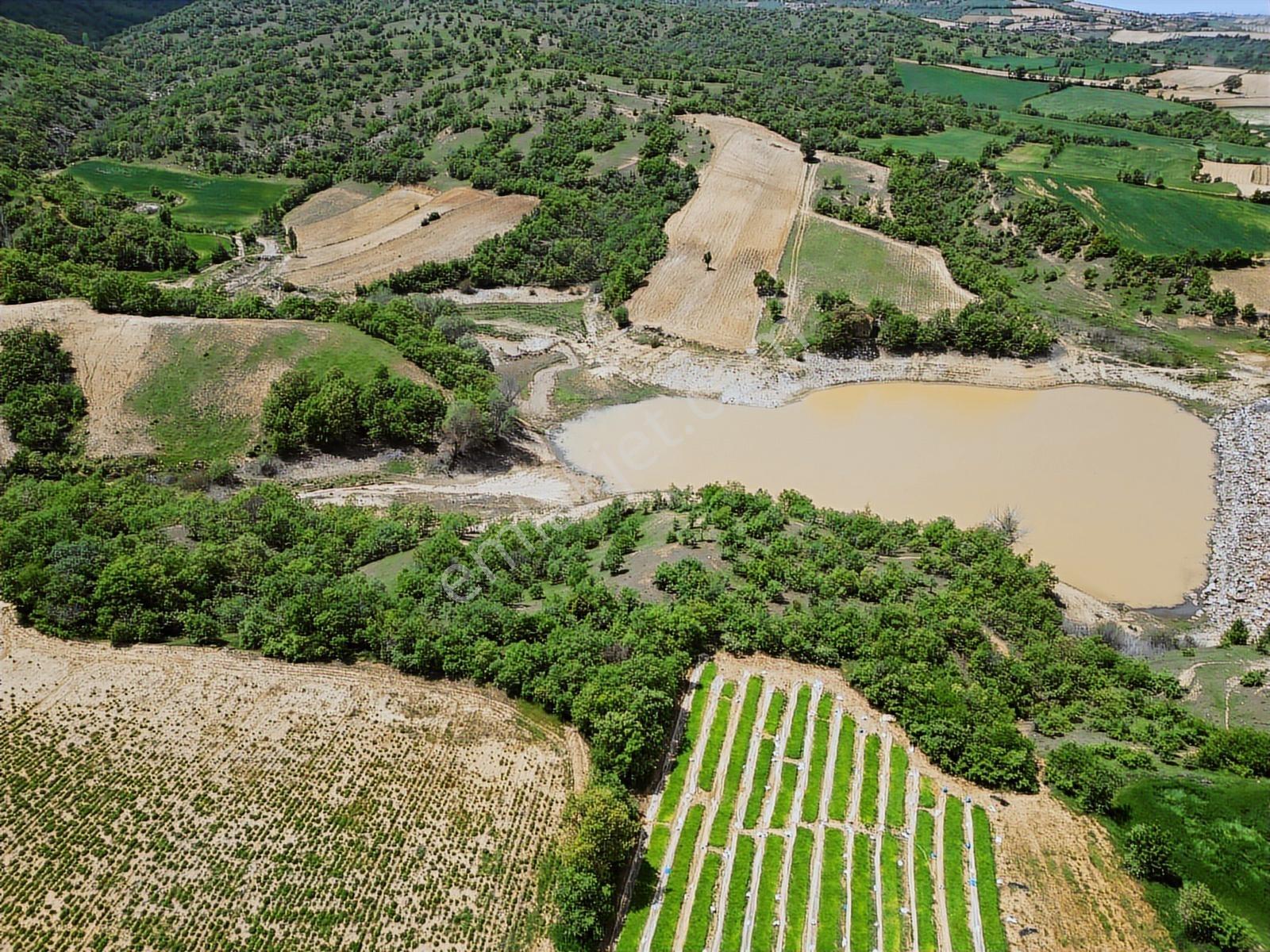 Eşme Karaahmetli'de Satılık Proje Arazisi 12.400 M2 - Görsel 6