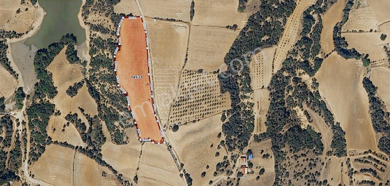 Eşme Karaahmetli'de Satılık Proje Arazisi 12.400 M2 - Görsel 8