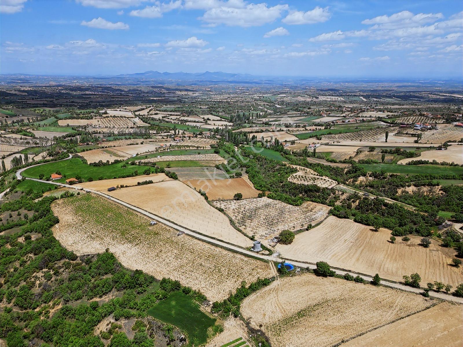 Eşme Karaahmetli'de Satılık Proje Arazisi 12.400 M2 - Görsel 2