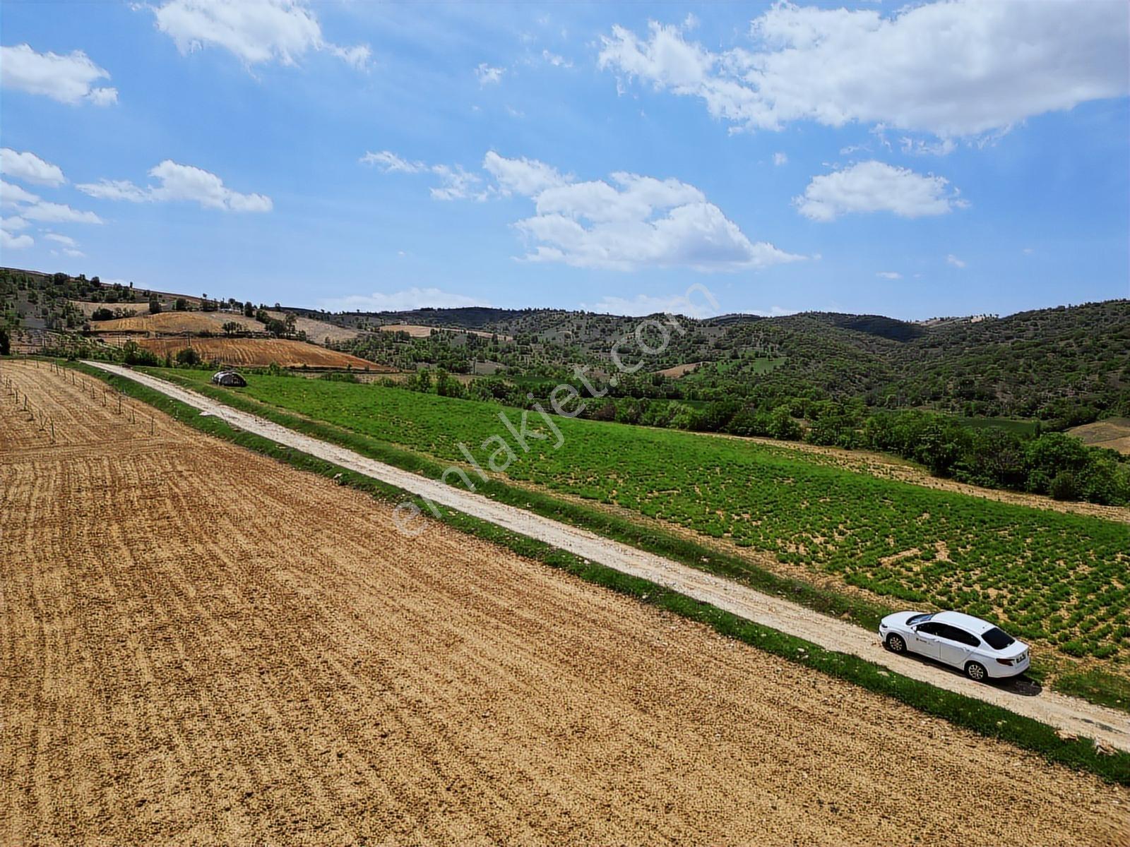 Eşme Karaahmetli'de Satılık Proje Arazisi 12.400 M2 - Görsel 14