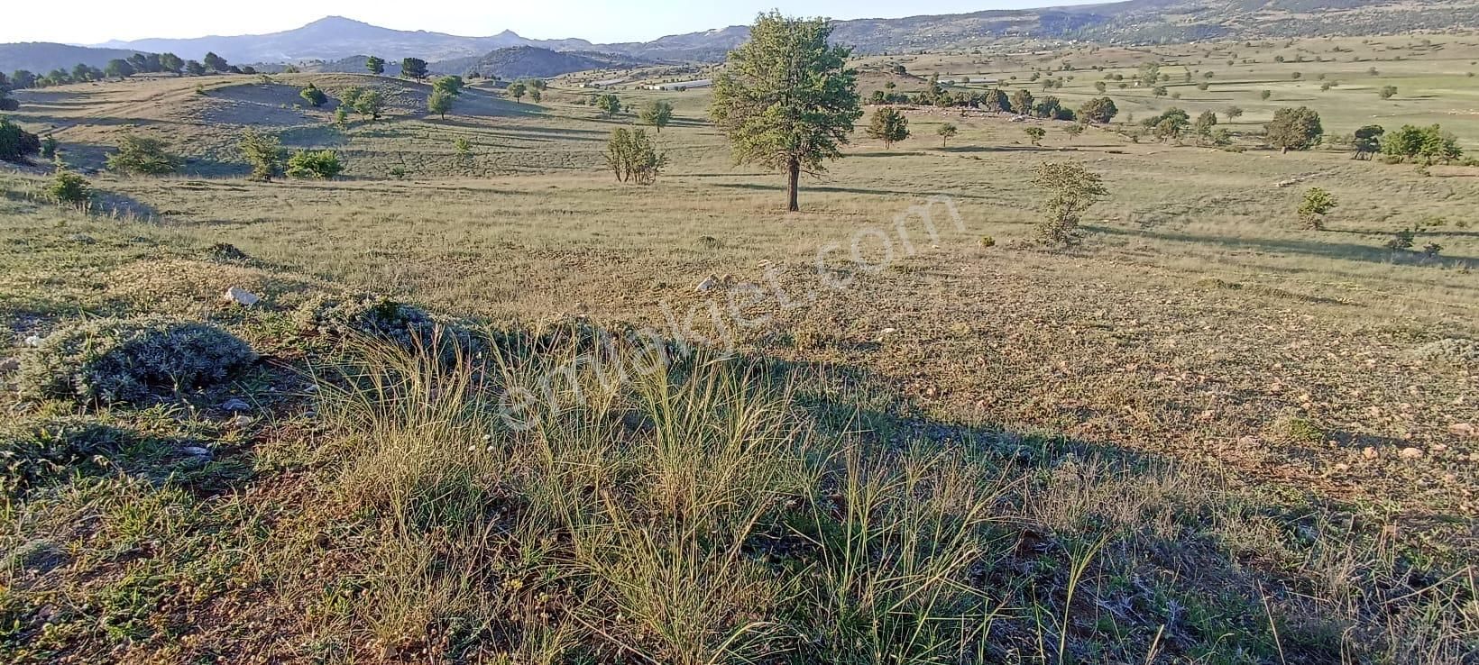Muğla Seydikemer Yayla Karaçulha Müstakil Tapulu 970 M2 Arazi - Görsel 4