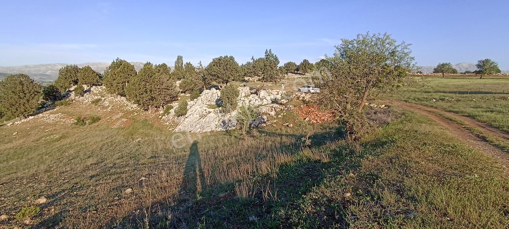 Muğla Seydikemer Yayla Karaçulha Müstakil Tapulu 970 M2 Arazi - Görsel 8
