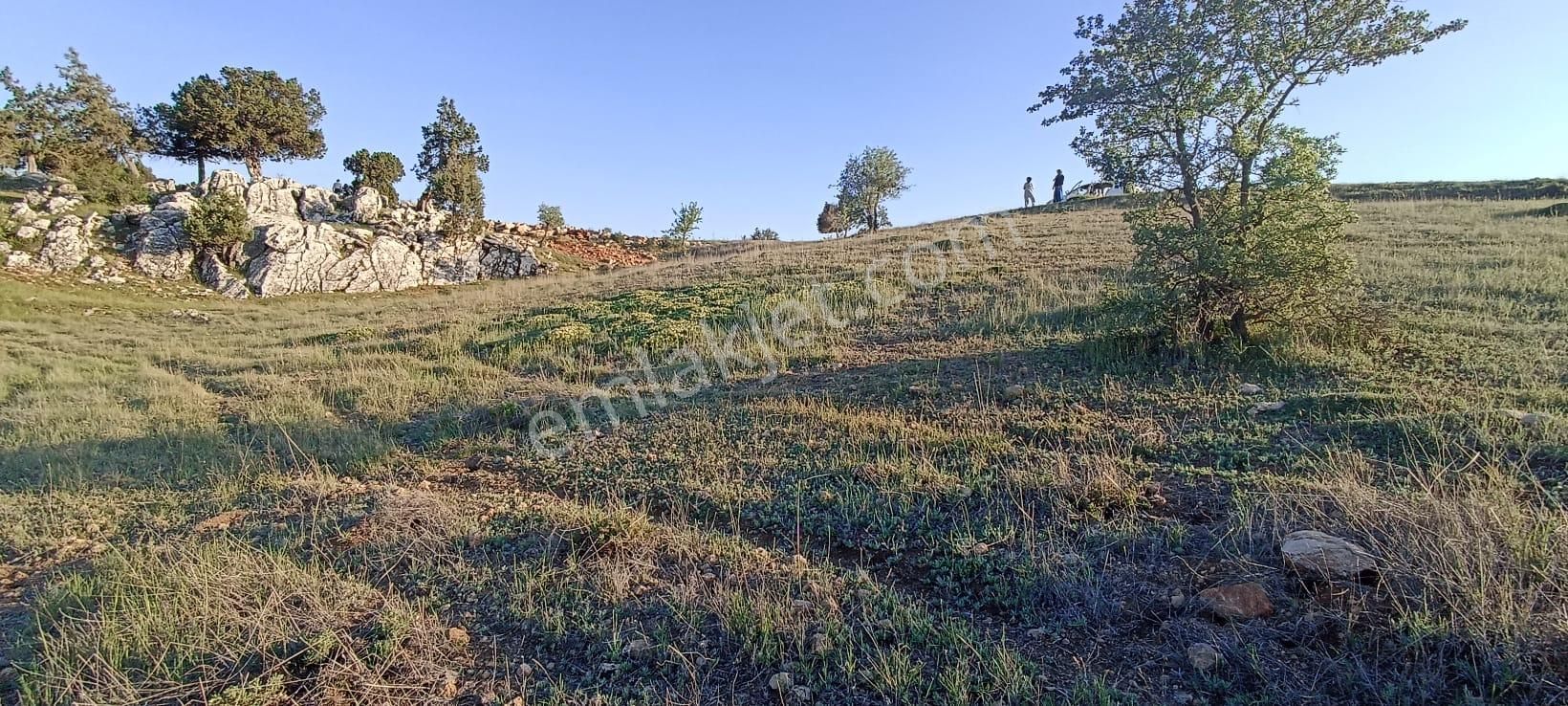 Muğla Seydikemer Yayla Karaçulha Müstakil Tapulu 970 M2 Arazi - Görsel 6