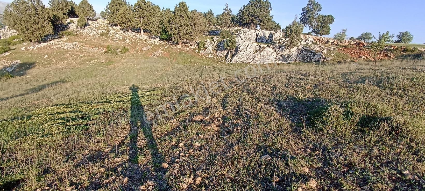 Muğla Seydikemer Yayla Karaçulha Müstakil Tapulu 970 M2 Arazi