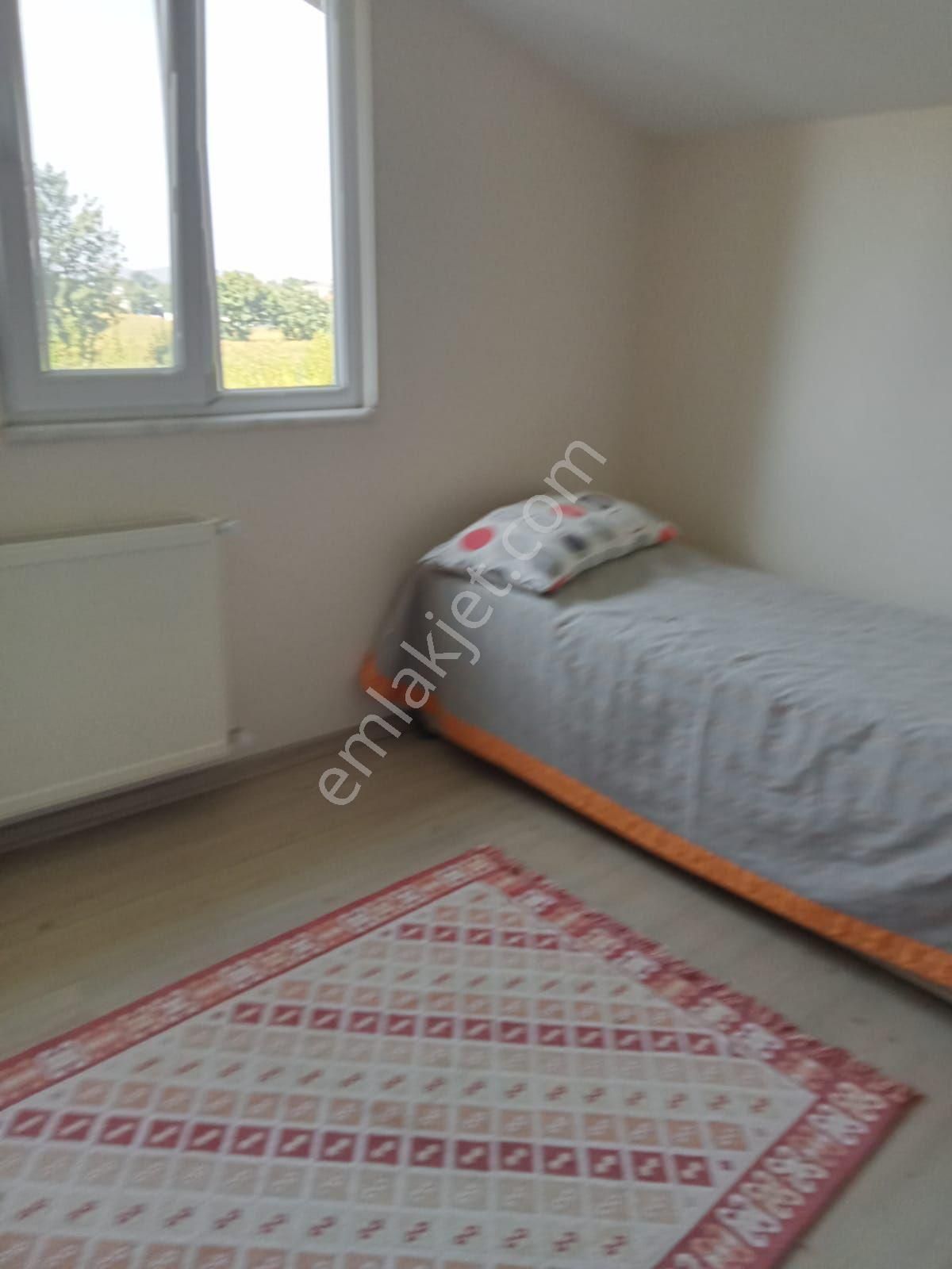 Yazlıkta Eşyalı 1+1 Kiralık Daire - Görsel 16