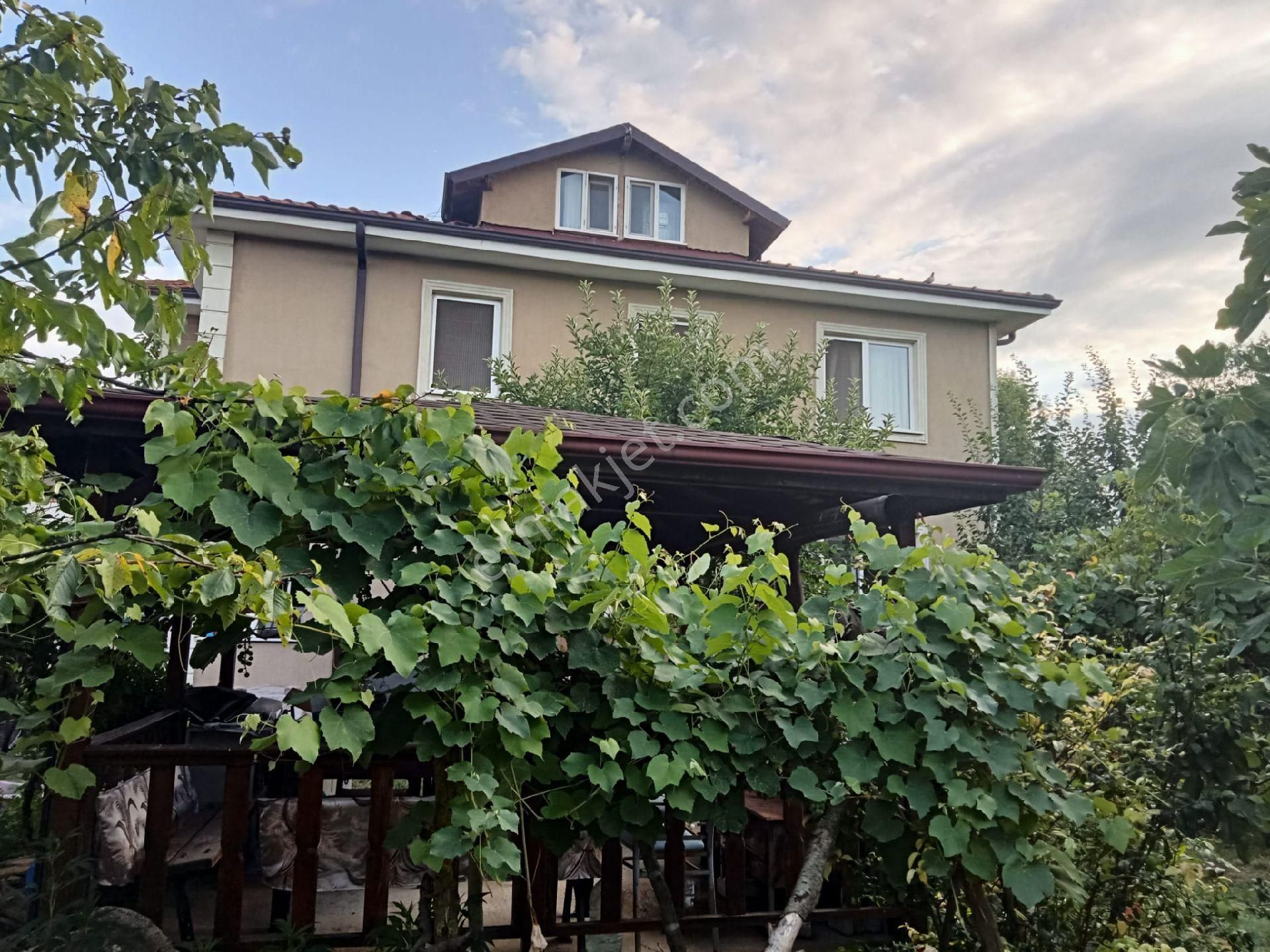 Yazlıkta Eşyalı 1+1 Kiralık Daire - Görsel 6