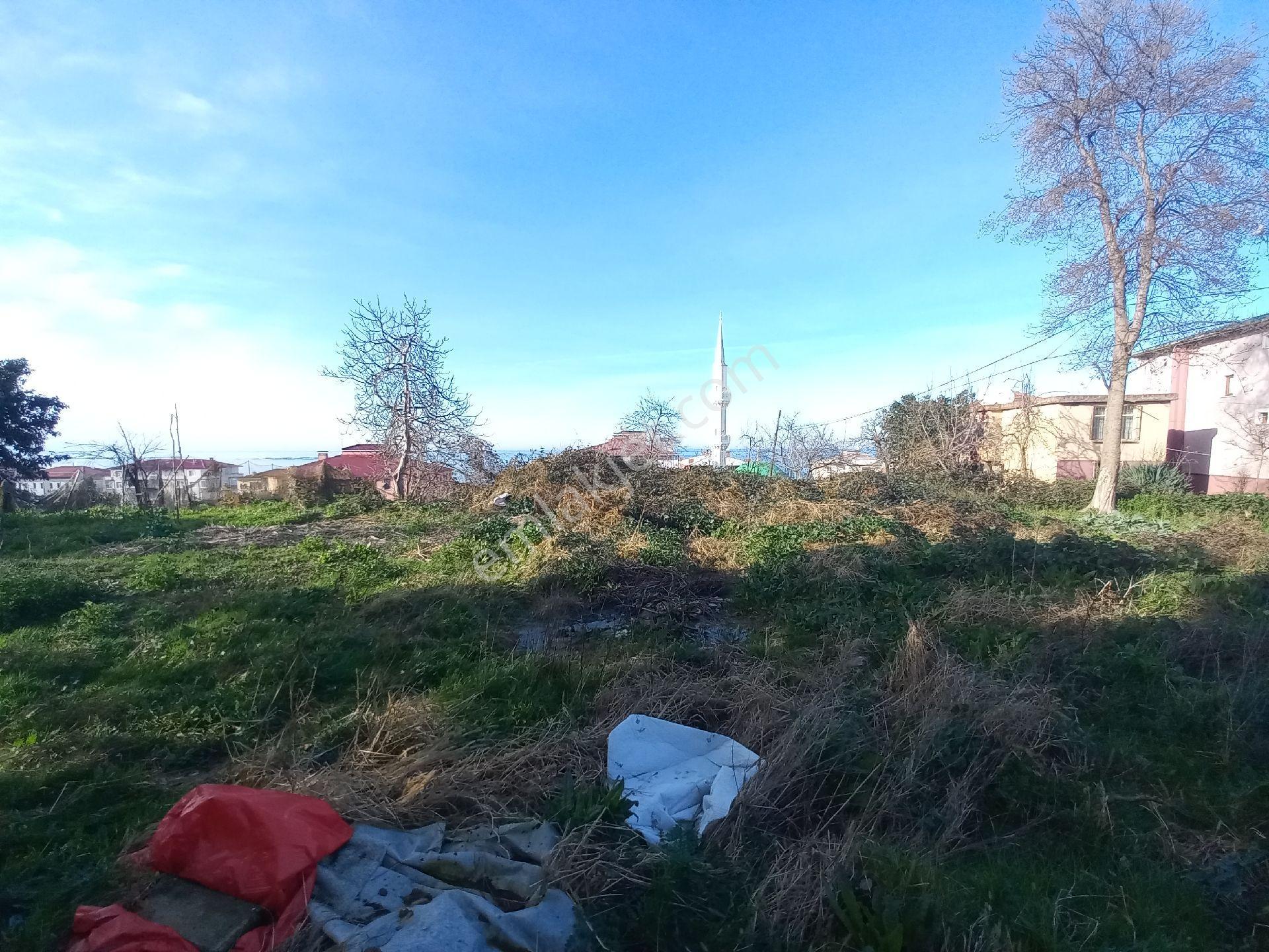 Doğuş Gayrimenkul Arsin Yalı Da Satılık Konut İmarlı Arsa - Görsel 11