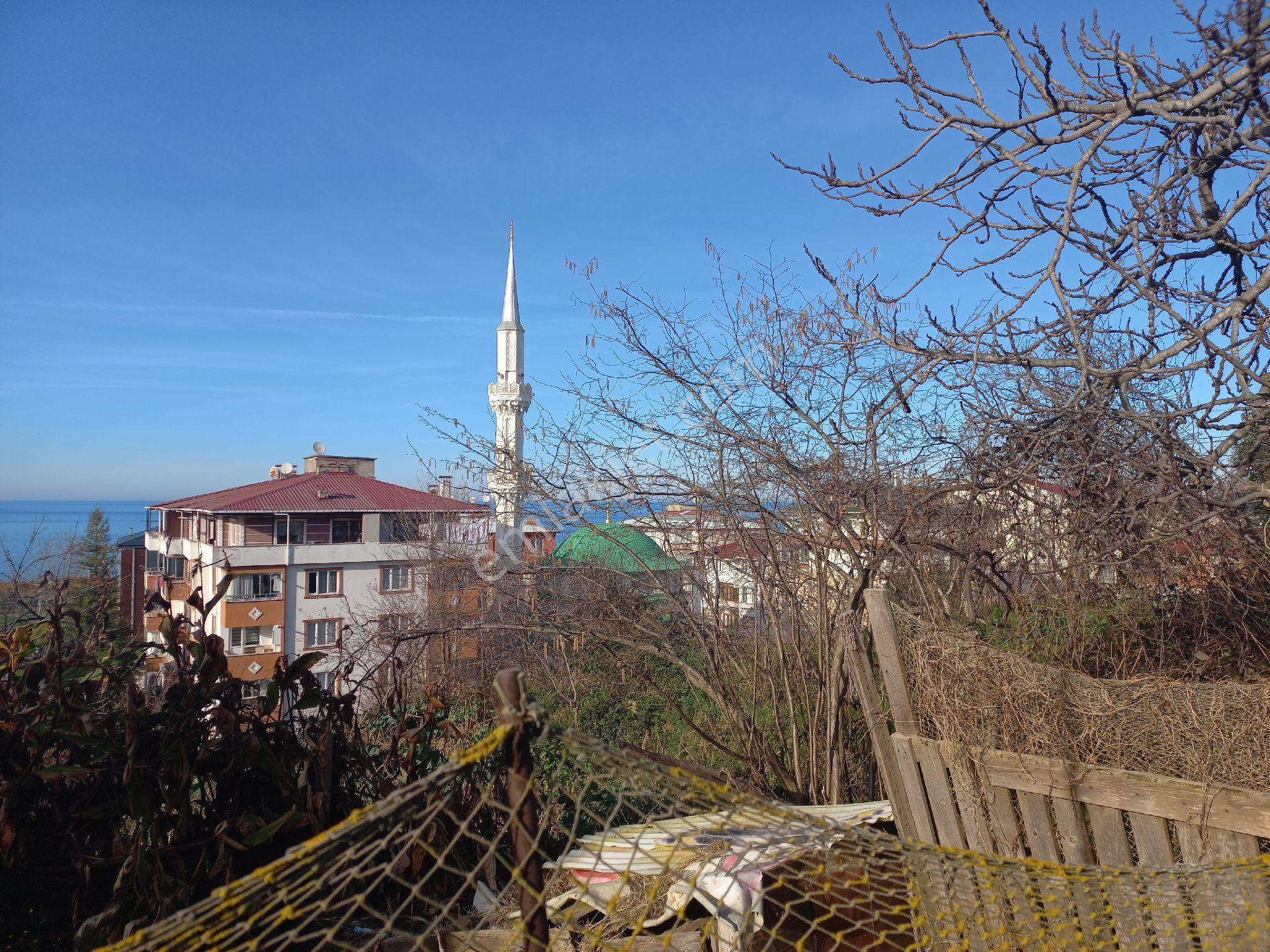 Doğuş Gayrimenkul Arsin Yalı Da Satılık Konut İmarlı Arsa - Görsel 16