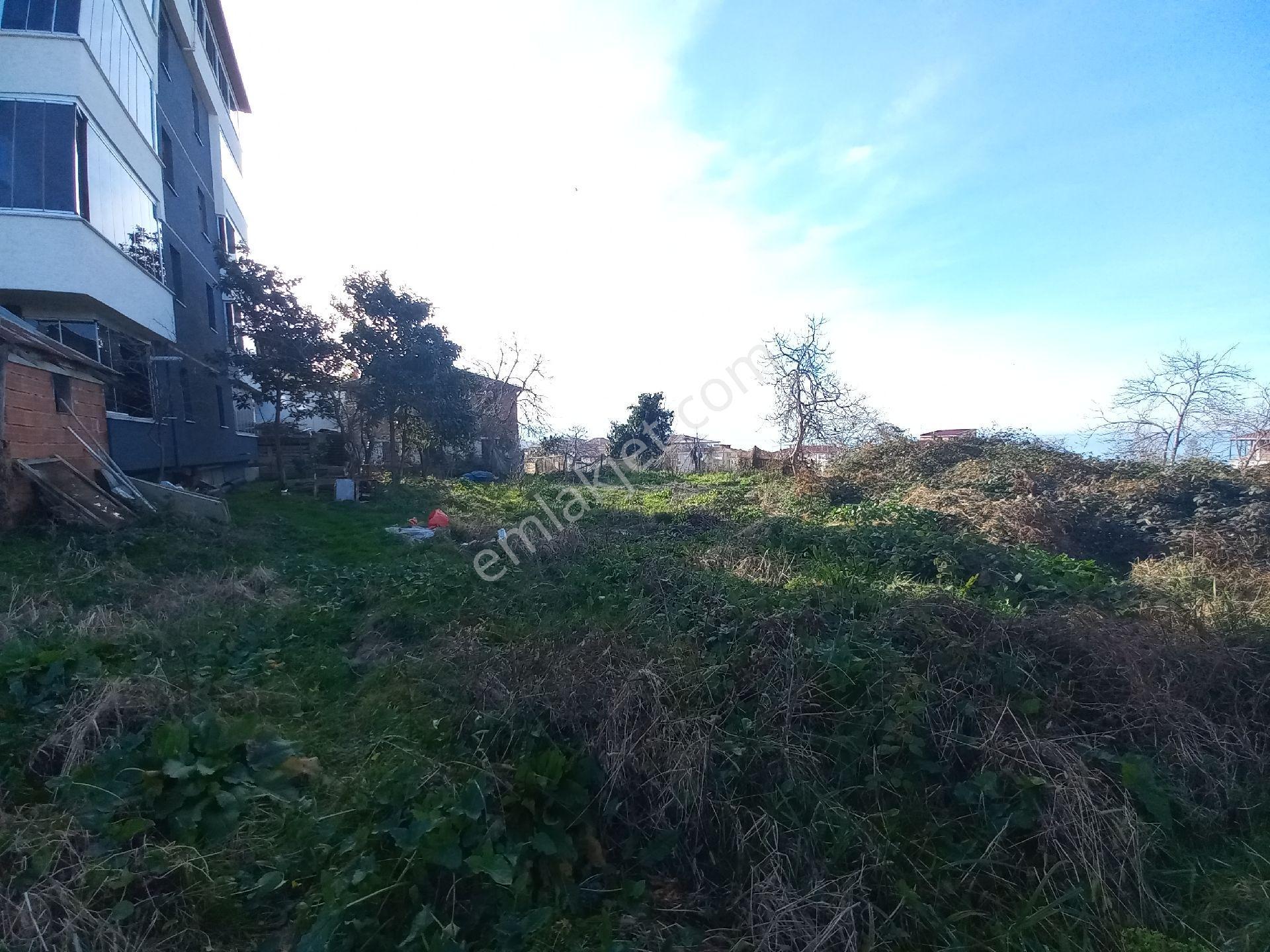 Doğuş Gayrimenkul Arsin Yalı Da Satılık Konut İmarlı Arsa - Görsel 12