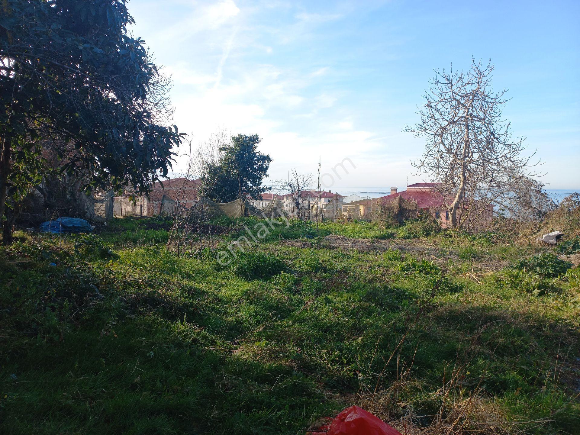 Doğuş Gayrimenkul Arsin Yalı Da Satılık Konut İmarlı Arsa - Görsel 7