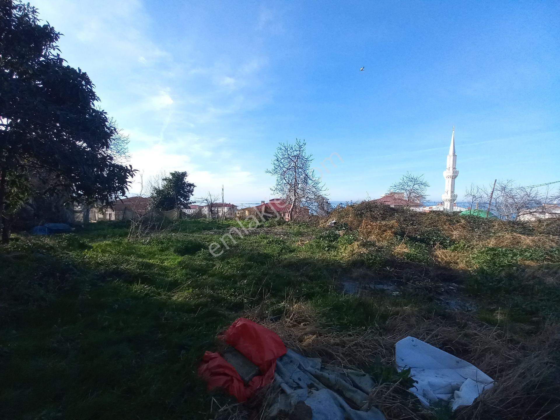 Doğuş Gayrimenkul Arsin Yalı Da Satılık Konut İmarlı Arsa - Görsel 8