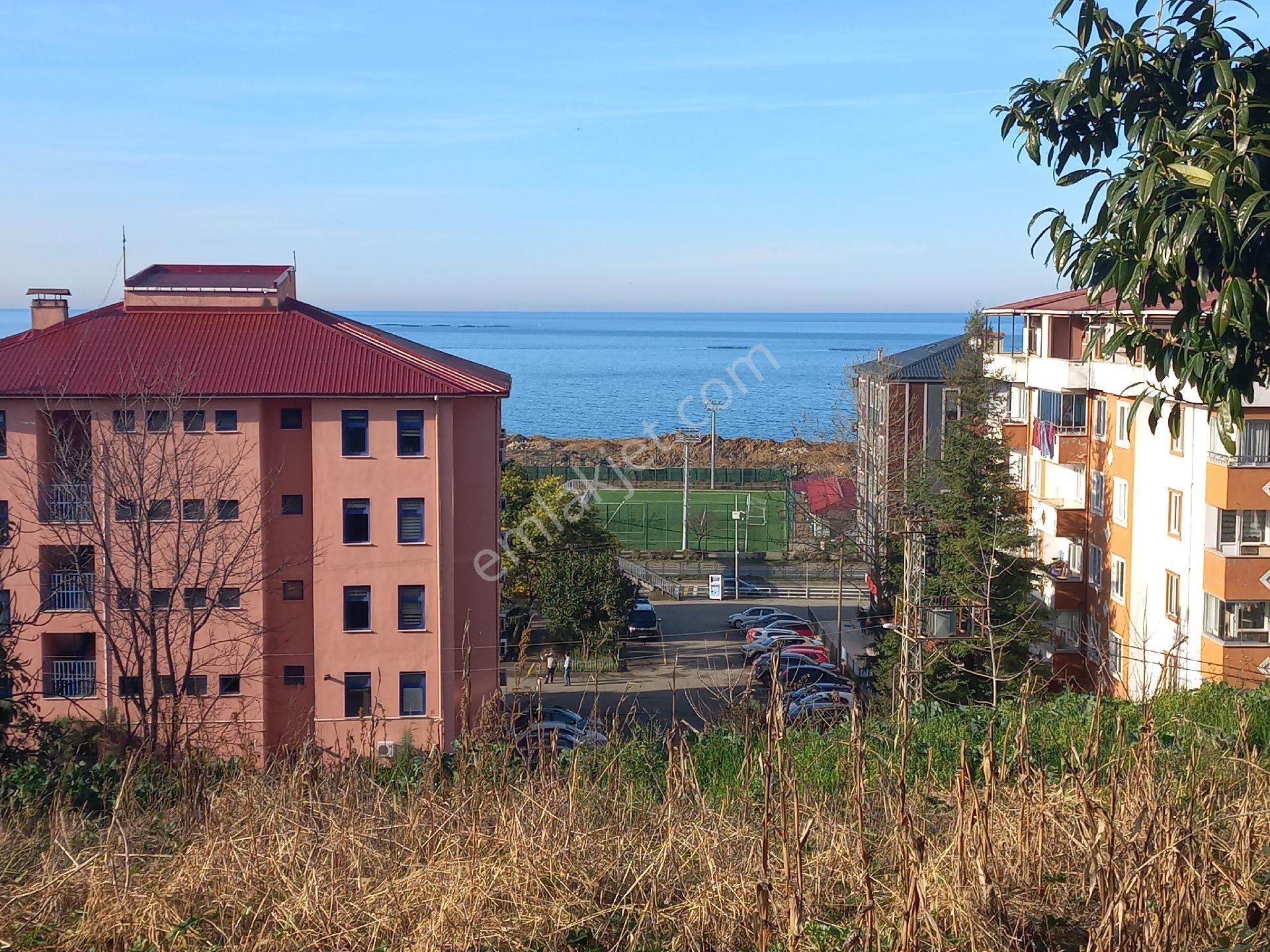 Doğuş Gayrimenkul Arsin Yalı Da Satılık Konut İmarlı Arsa
