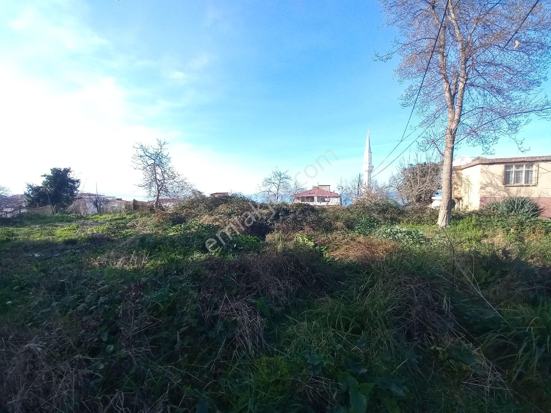Doğuş Gayrimenkul Arsin Yalı Da Satılık Konut İmarlı Arsa - Görsel 9
