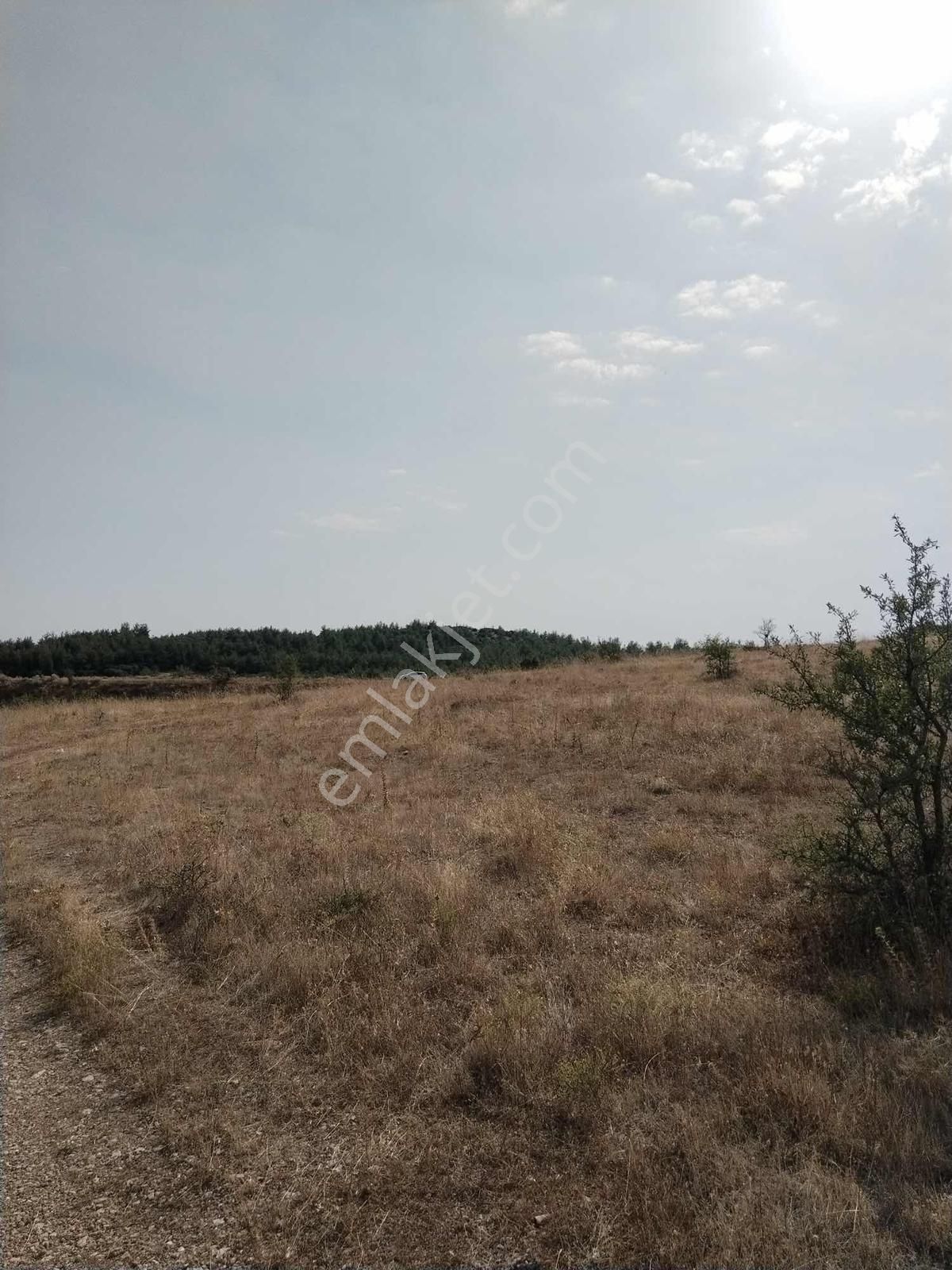 Favori'den Çal Akkent Ana Yol/yatırıma Uygun Müstakil Parsel - Görsel 3