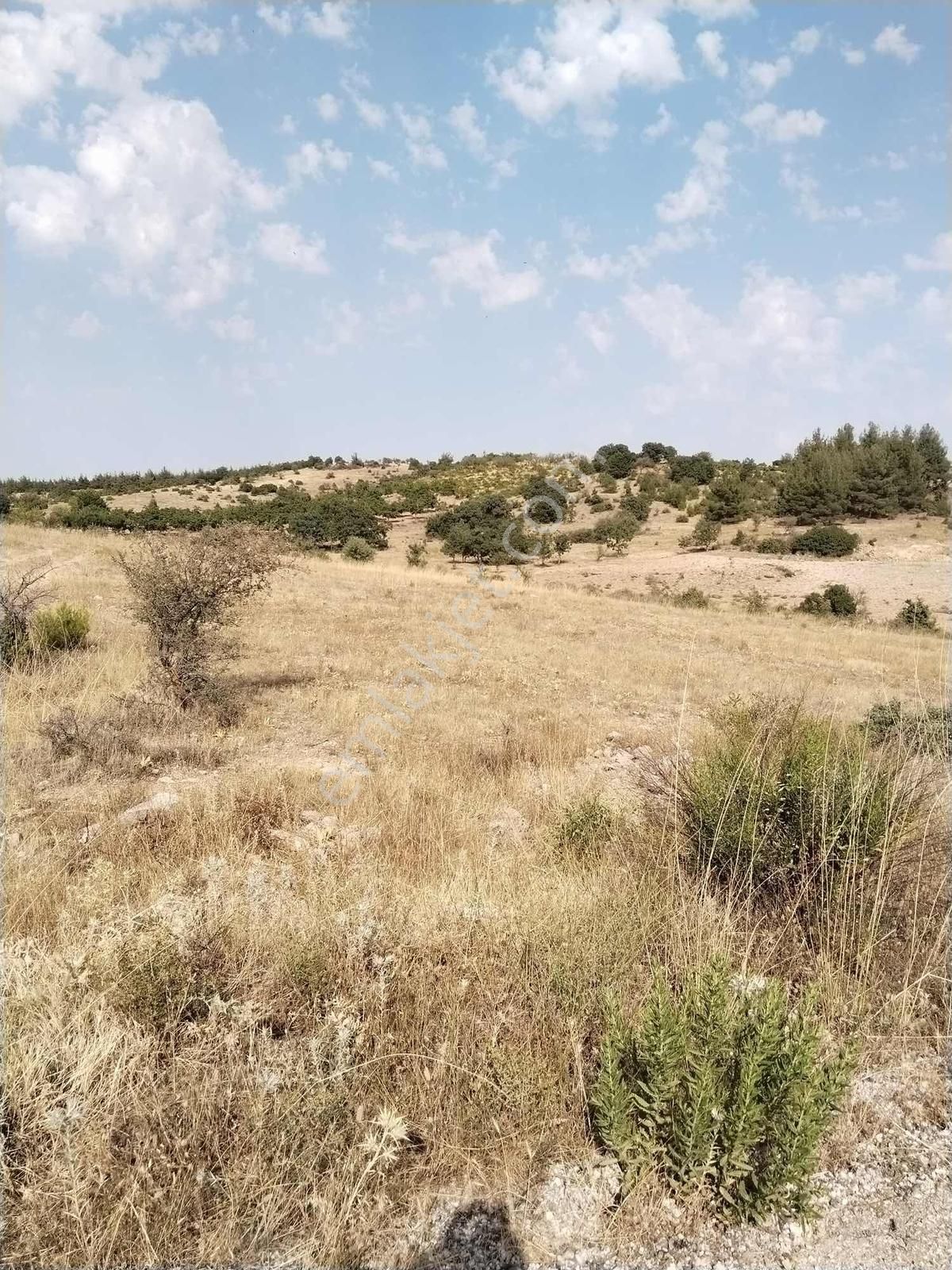 Favori'den Çal Akkent Ana Yol/yatırıma Uygun Müstakil Parsel - Görsel 7