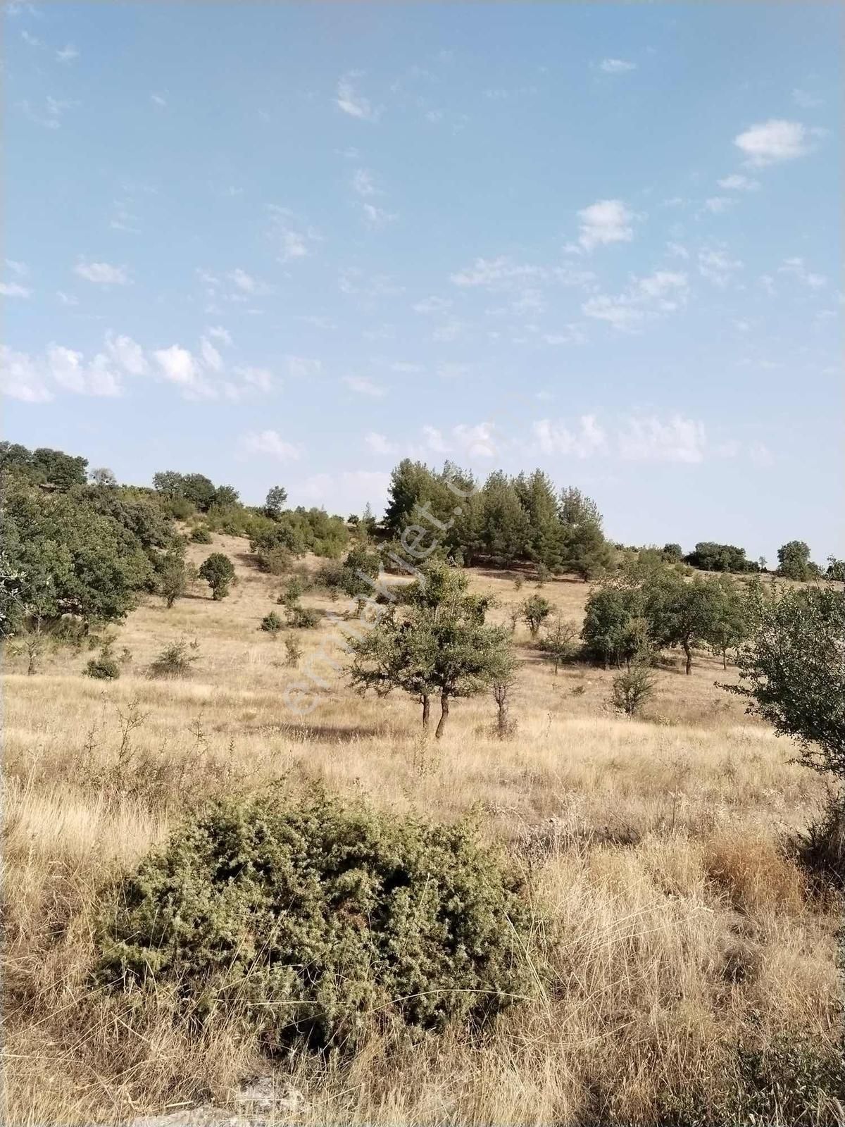 Favori'den Çal Akkent Ana Yol/yatırıma Uygun Müstakil Parsel - Görsel 8