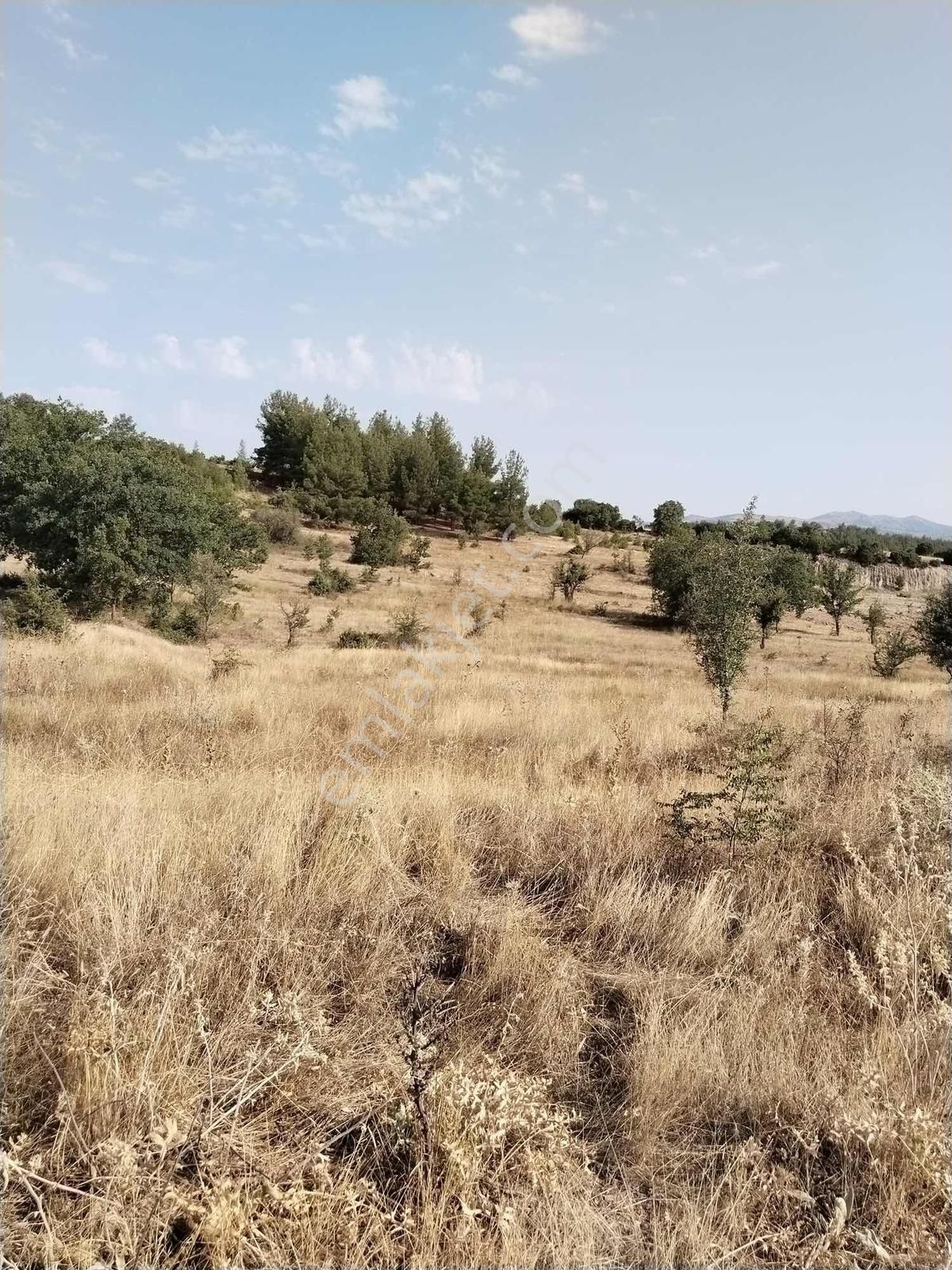 Favori'den Çal Akkent Ana Yol/yatırıma Uygun Müstakil Parsel