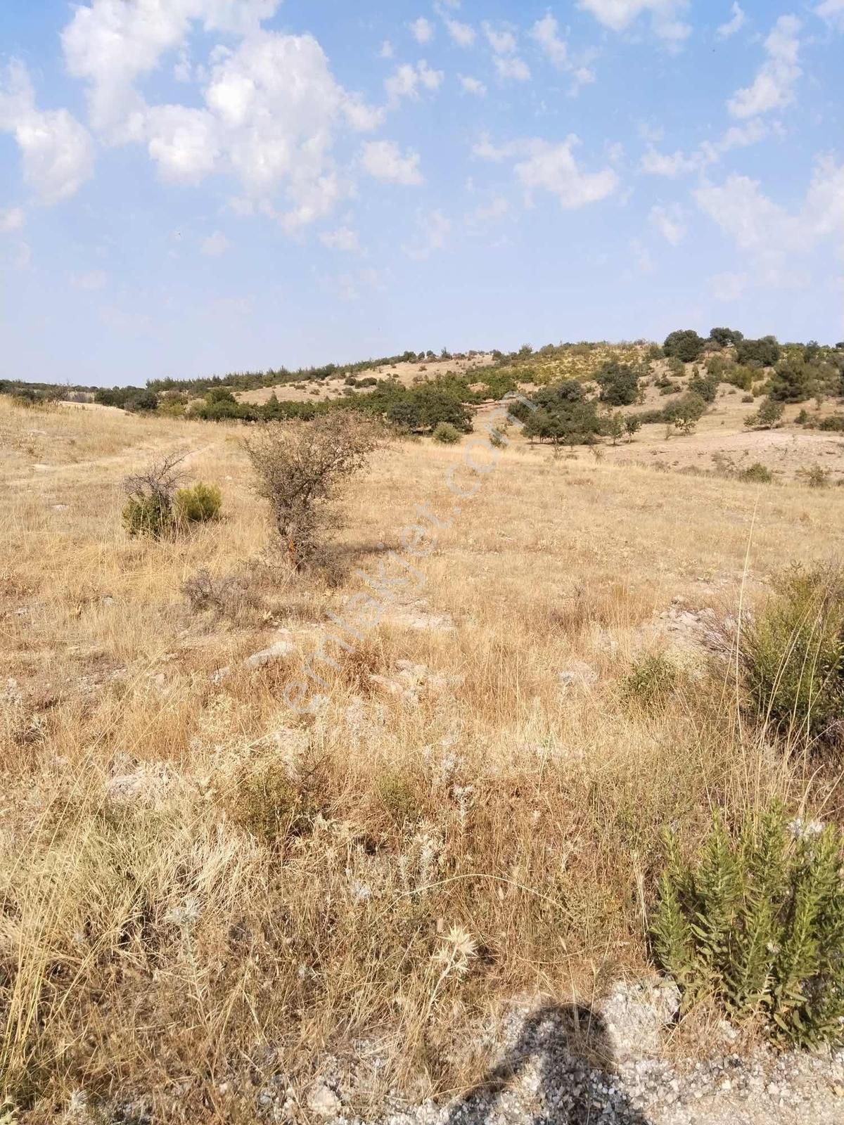 Favori'den Çal Akkent Ana Yol/yatırıma Uygun Müstakil Parsel - Görsel 9