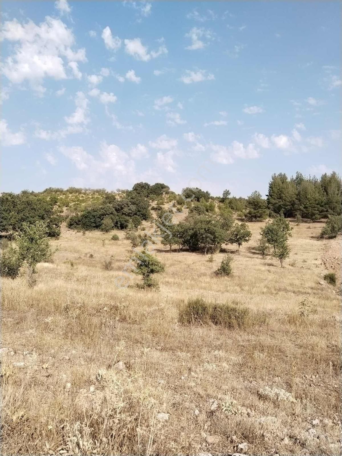 Favori'den Çal Akkent Ana Yol/yatırıma Uygun Müstakil Parsel - Görsel 11
