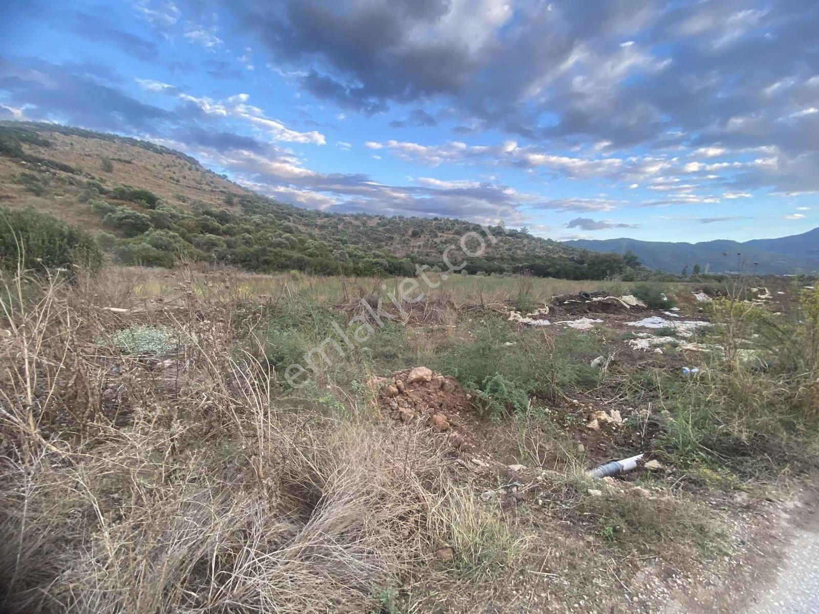 İzmir Tire Akar Emlaktan Satılık Kupon Tarla - Görsel 6
