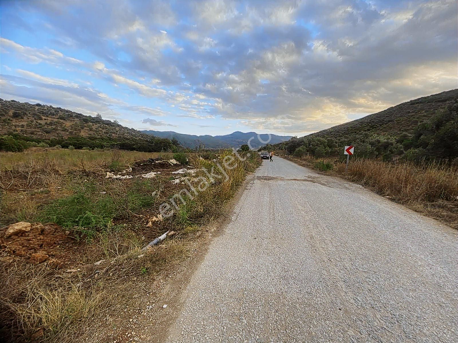 İzmir Tire Akar Emlaktan Satılık Kupon Tarla