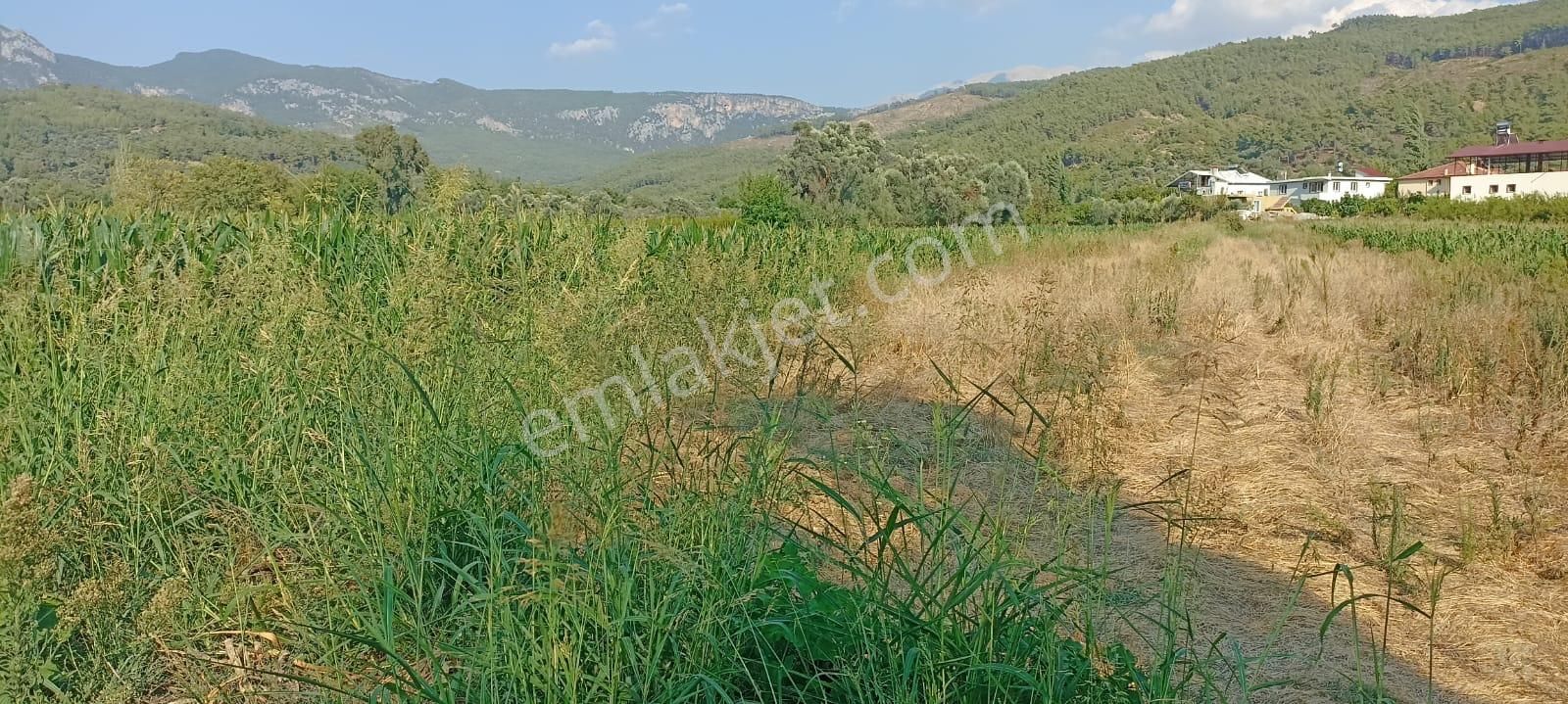 Acill Acill Acill Muğla Seydikemer Sahil Ceylan Mah... 1500 M2 Arazi - Görsel 4