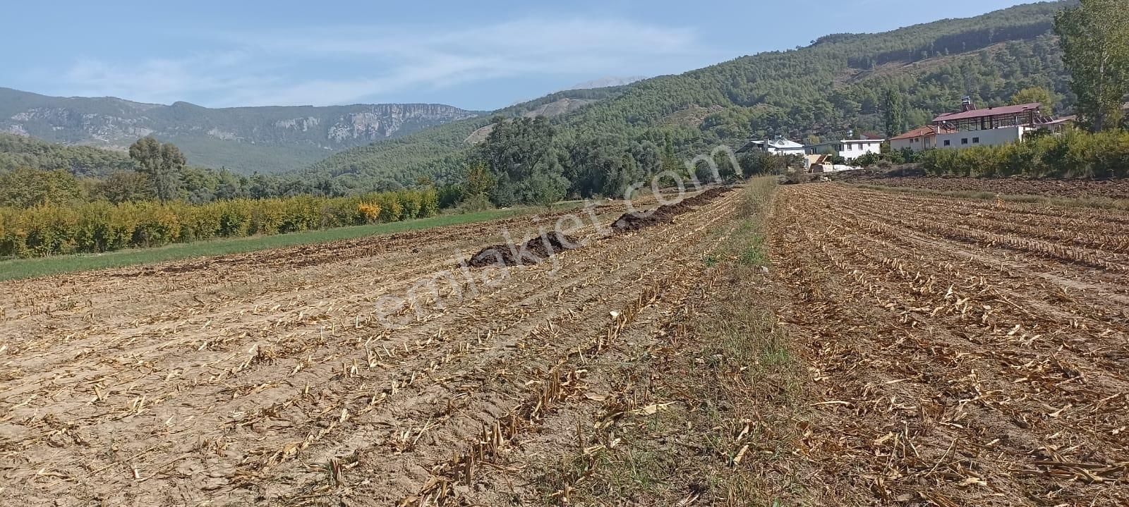 Acill Acill Acill Muğla Seydikemer Sahil Ceylan Mah... 1500 M2 Arazi - Görsel 15