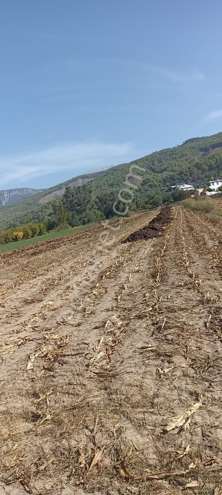 Acill Acill Acill Muğla Seydikemer Sahil Ceylan Mah... 1500 M2 Arazi - Görsel 10