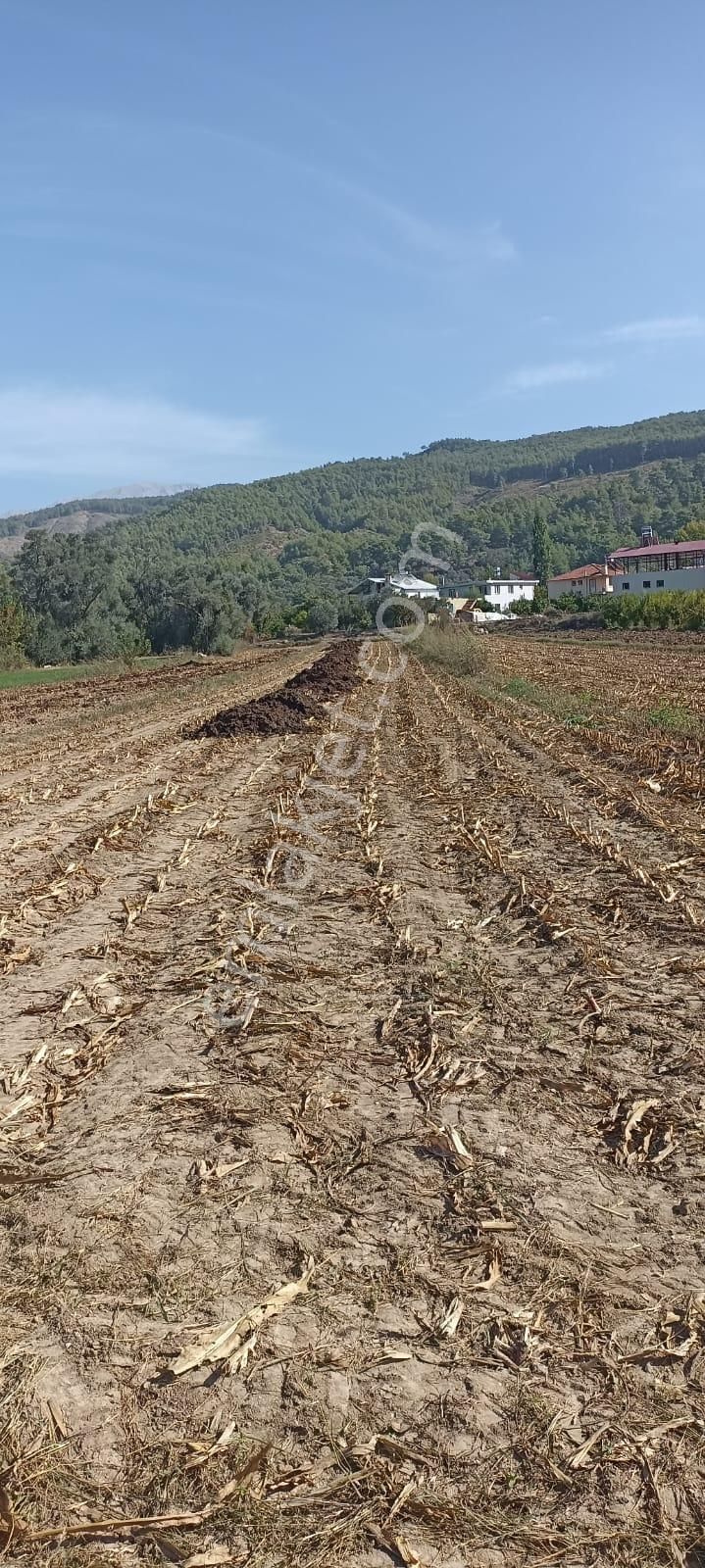 Acill Acill Acill Muğla Seydikemer Sahil Ceylan Mah... 1500 M2 Arazi - Görsel 12
