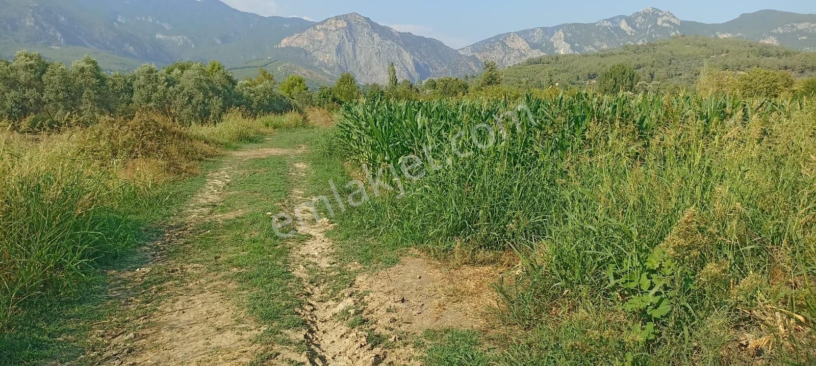 Acill Acill Acill Muğla Seydikemer Sahil Ceylan Mah... 1500 M2 Arazi - Görsel 6