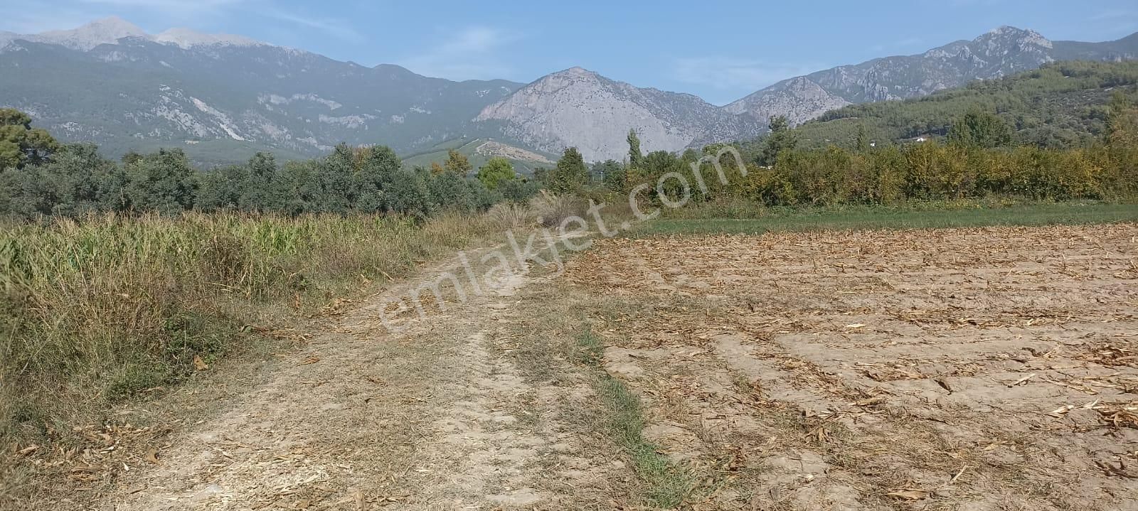 Acill Acill Acill Muğla Seydikemer Sahil Ceylan Mah... 1500 M2 Arazi - Görsel 13