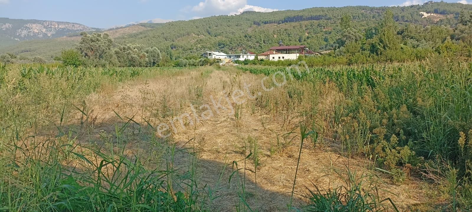 Acill Acill Acill Muğla Seydikemer Sahil Ceylan Mah... 1500 M2 Arazi - Görsel 7