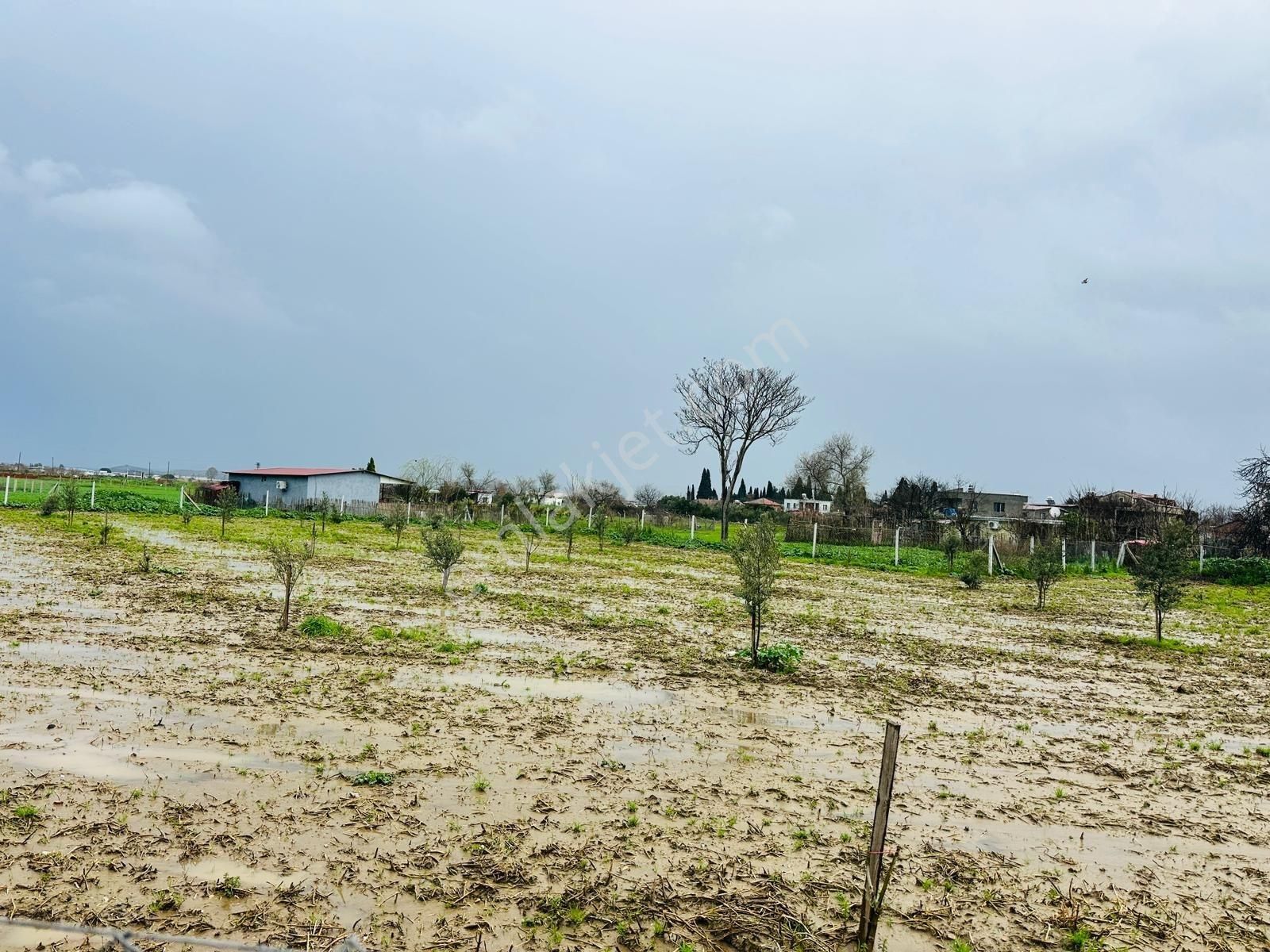İzmir Torbalı'da Subaşı Mahallesi'nde Satılık Arsa - Görsel 23