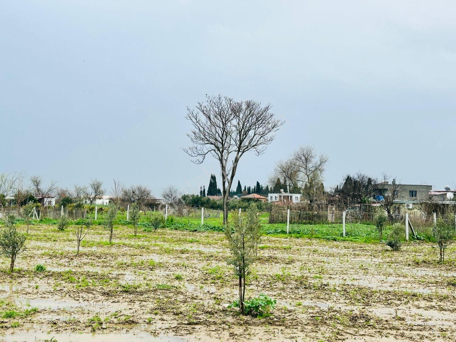İzmir Torbalı'da Subaşı Mahallesi'nde Satılık Arsa - Görsel 3