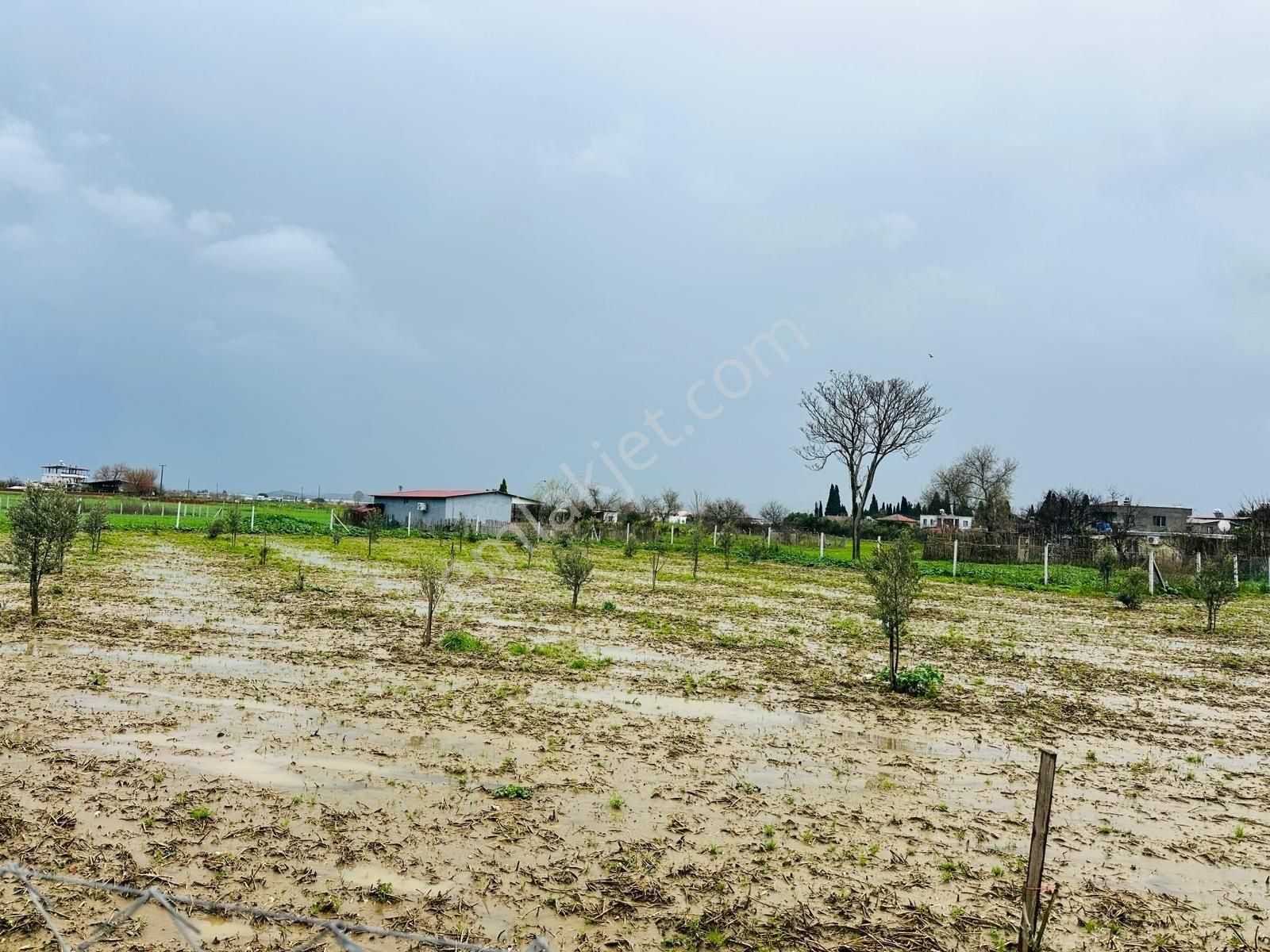 İzmir Torbalı'da Subaşı Mahallesi'nde Satılık Arsa - Görsel 12