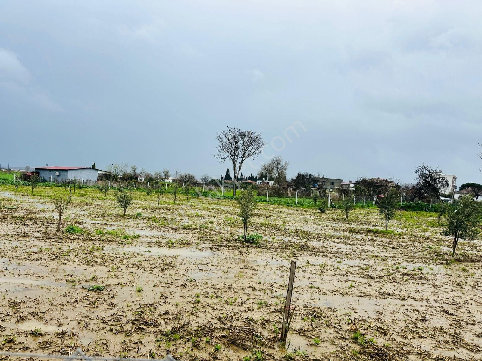 İzmir Torbalı'da Subaşı Mahallesi'nde Satılık Arsa - Görsel 2