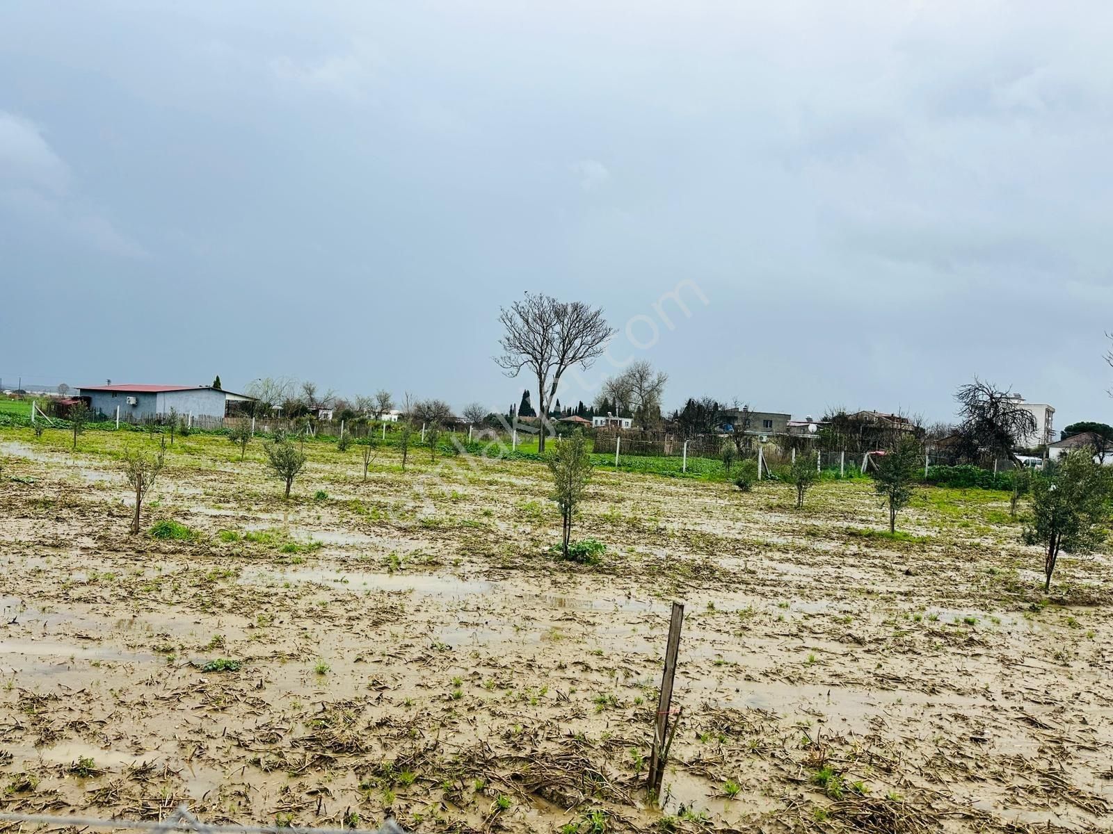 İzmir Torbalı'da Subaşı Mahallesi'nde Satılık Arsa - Görsel 7