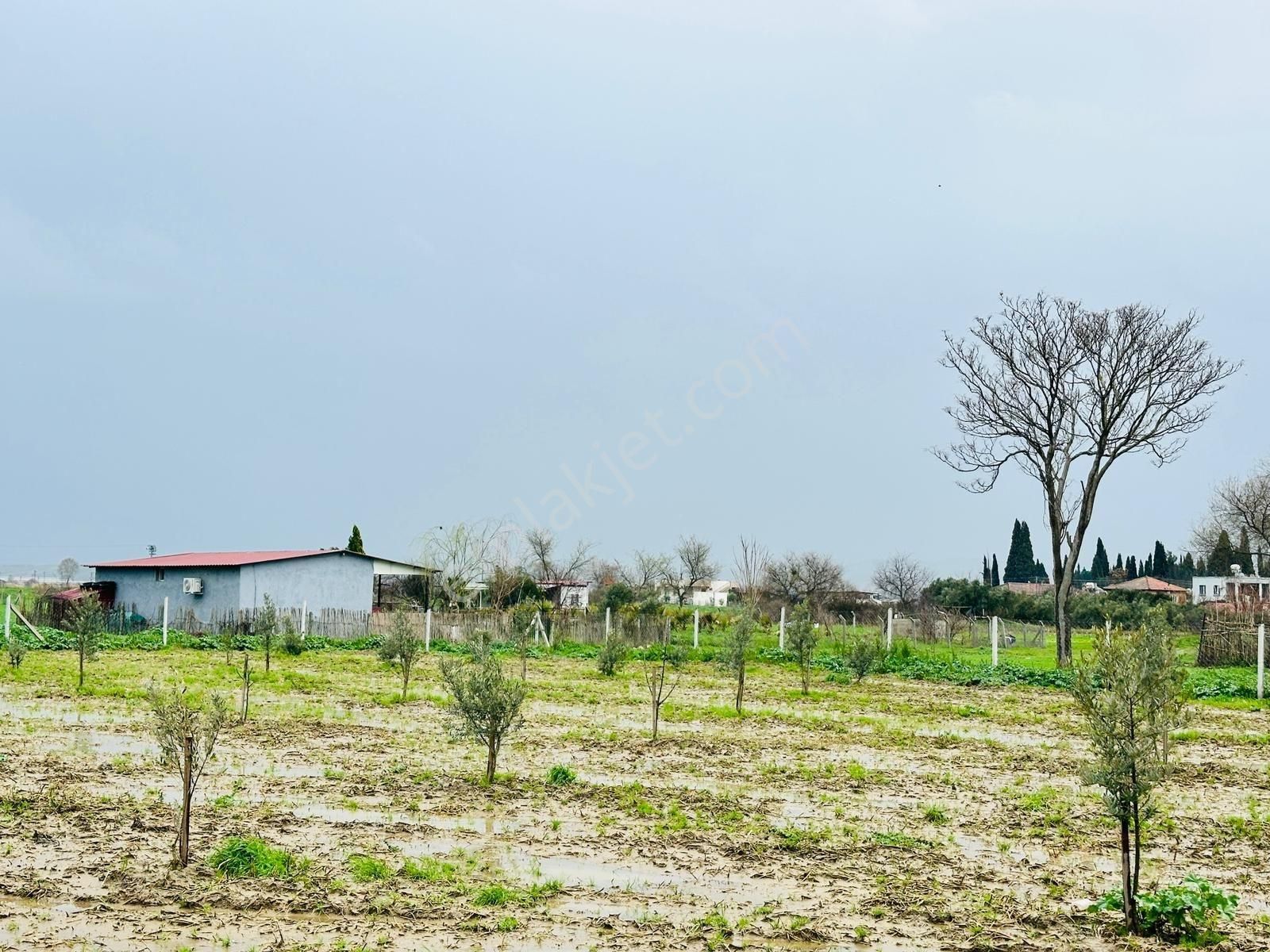 İzmir Torbalı'da Subaşı Mahallesi'nde Satılık Arsa - Görsel 19