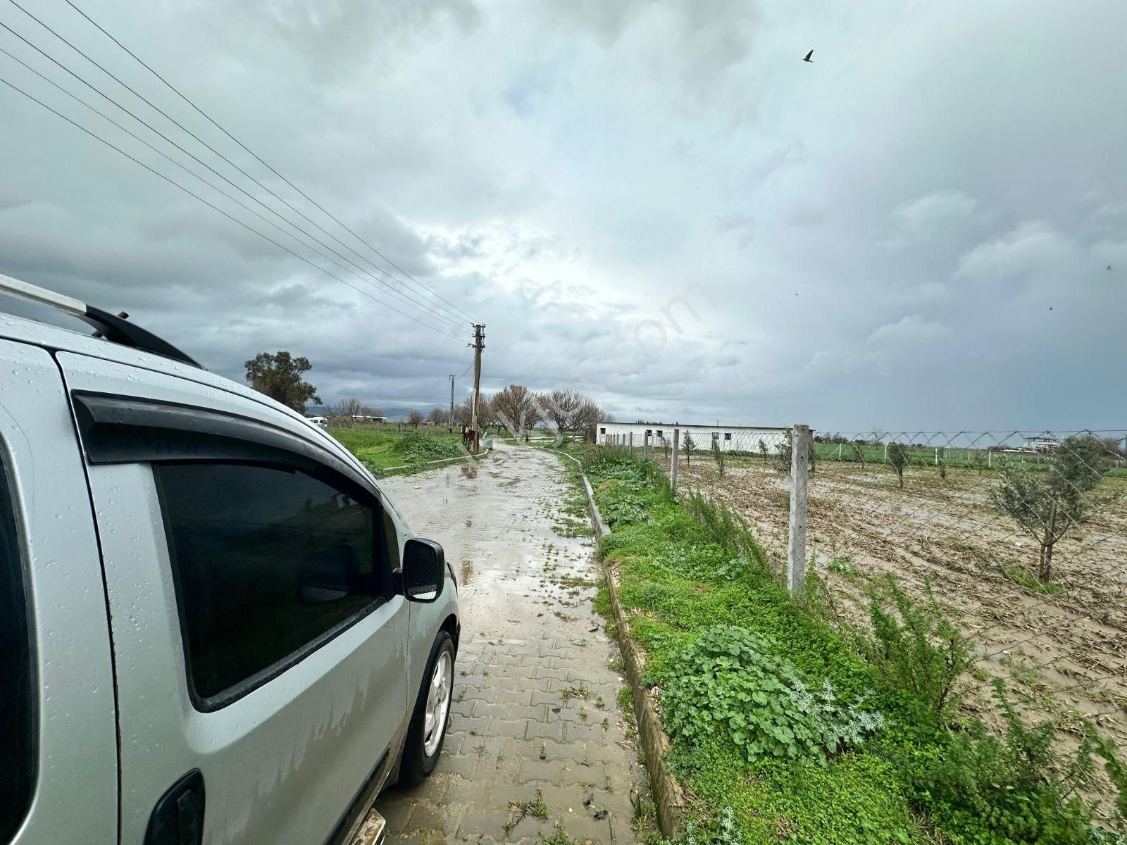 İzmir Torbalı'da Subaşı Mahallesi'nde Satılık Arsa - Görsel 20