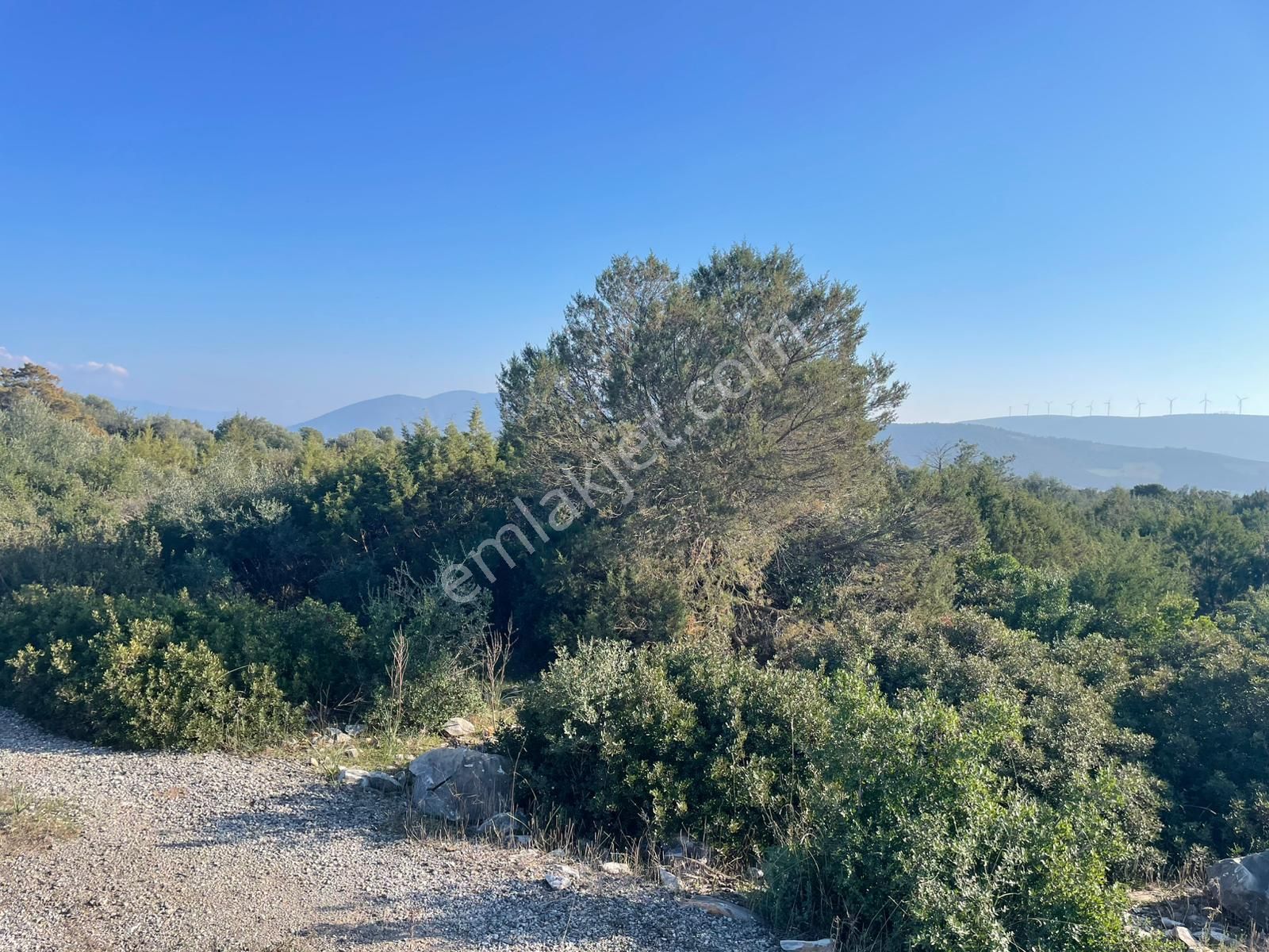 Aydın Didim De Satılık Villa İmarlı Arsa - Görsel 5