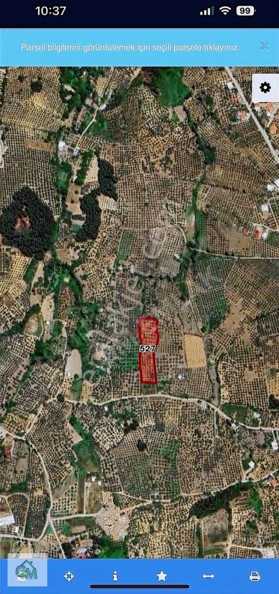 Mudanya Göynüklü De Satılık 3050m2 Arazi - Görsel 3