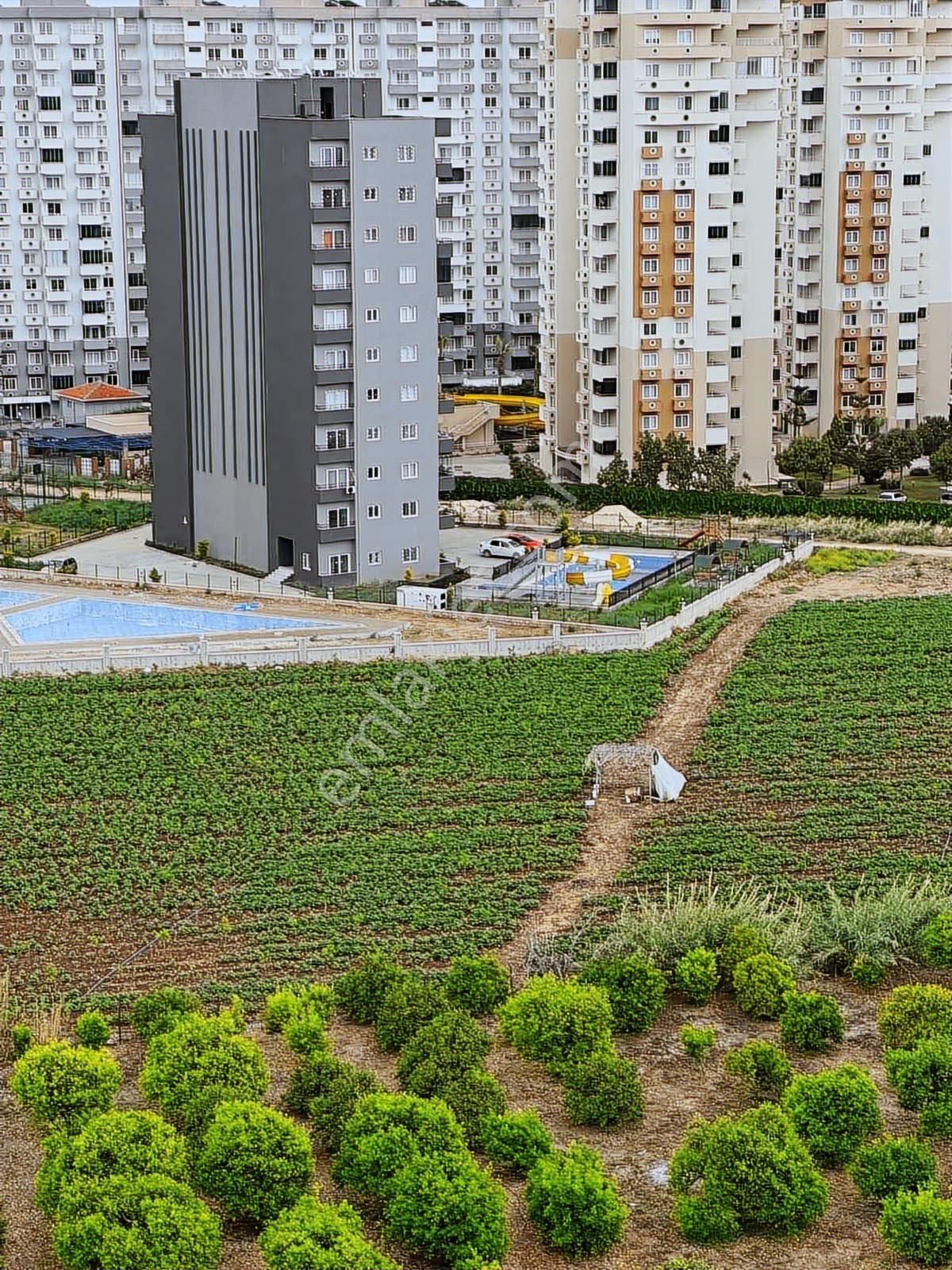 Uçan Yapıdan Sıfır 2+1 Havuzlu Site İçerisi İskanı Mevcut - Görsel 18