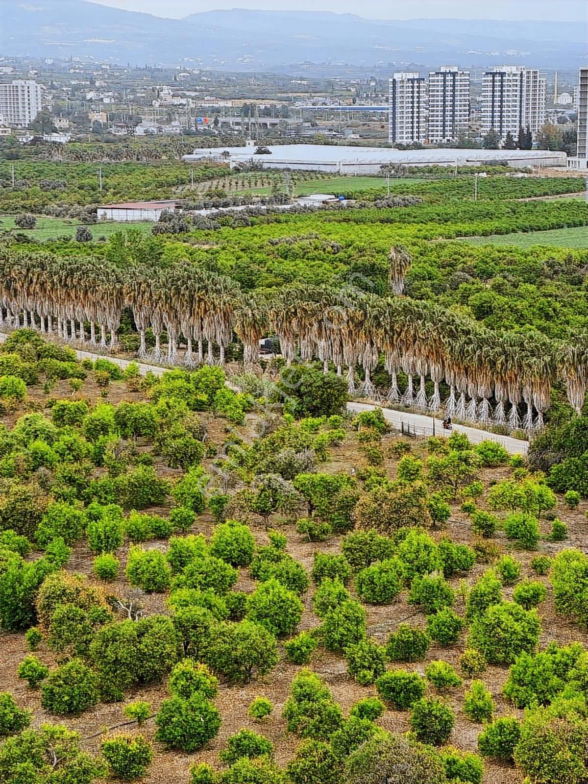 Uçan Yapıdan Sıfır 2+1 Havuzlu Site İçerisi İskanı Mevcut - Görsel 15